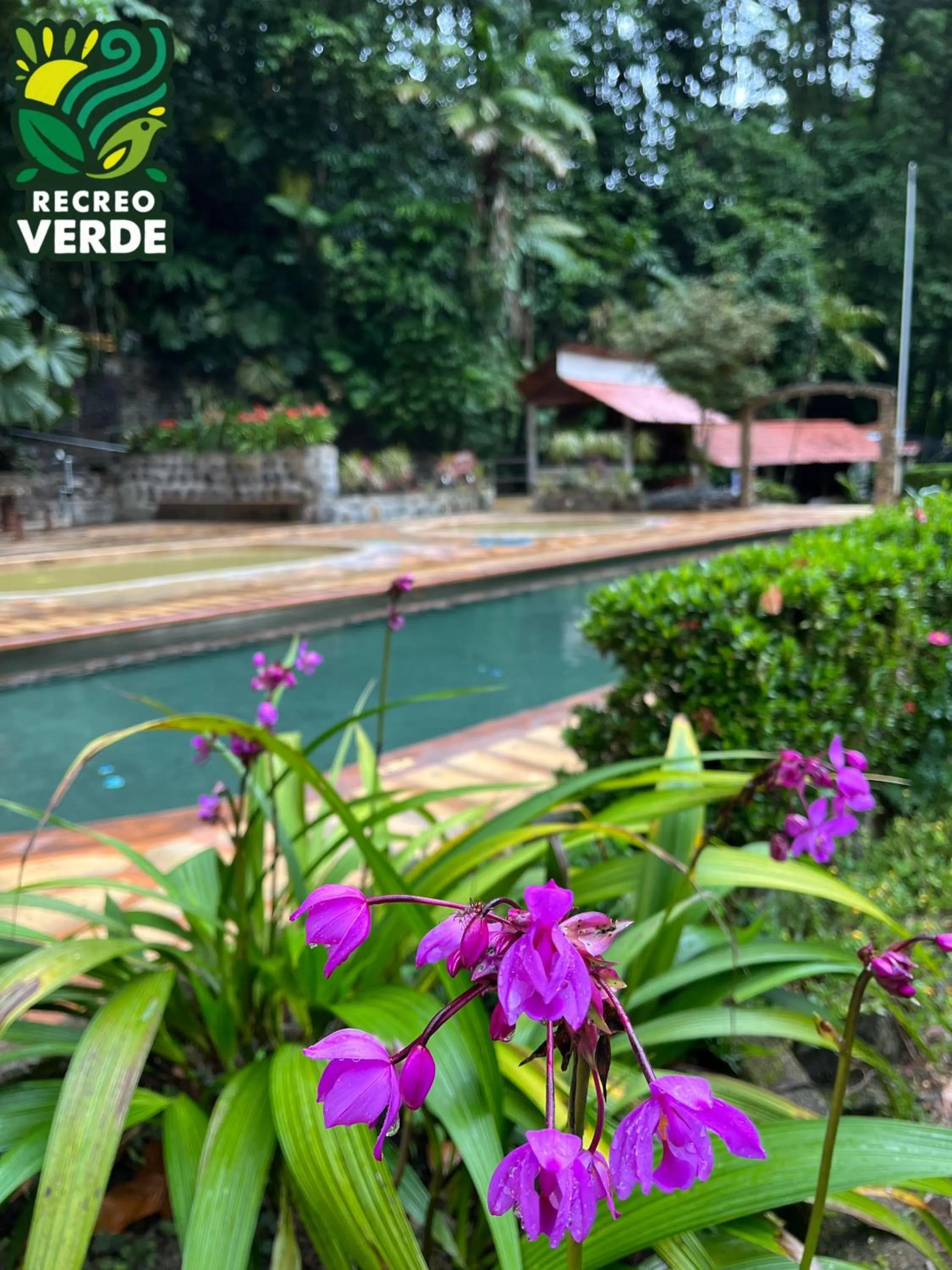 Day in Recreo Verde Hot Springs & Spa