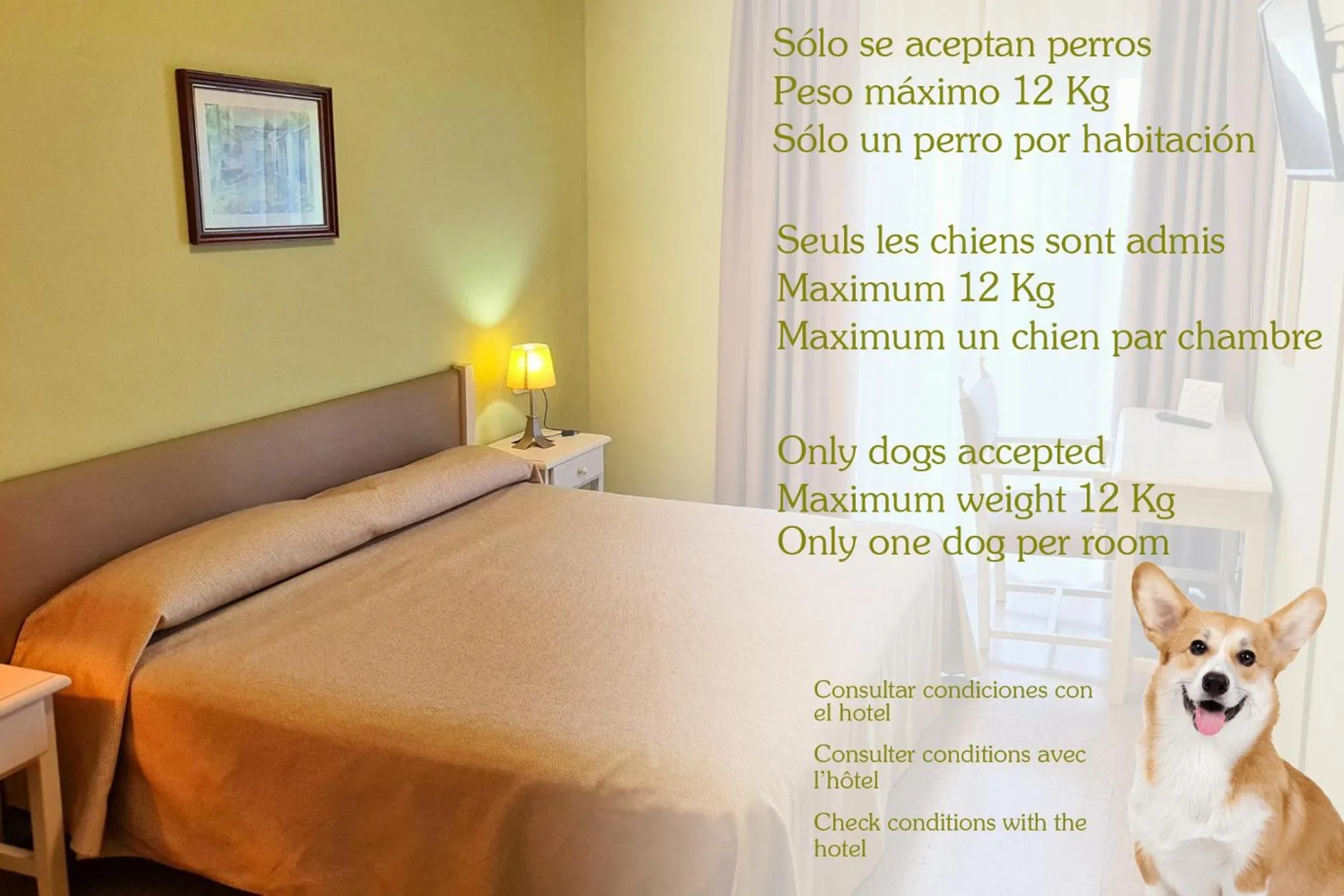 Property building, Bed in Hotel Castell Blanc