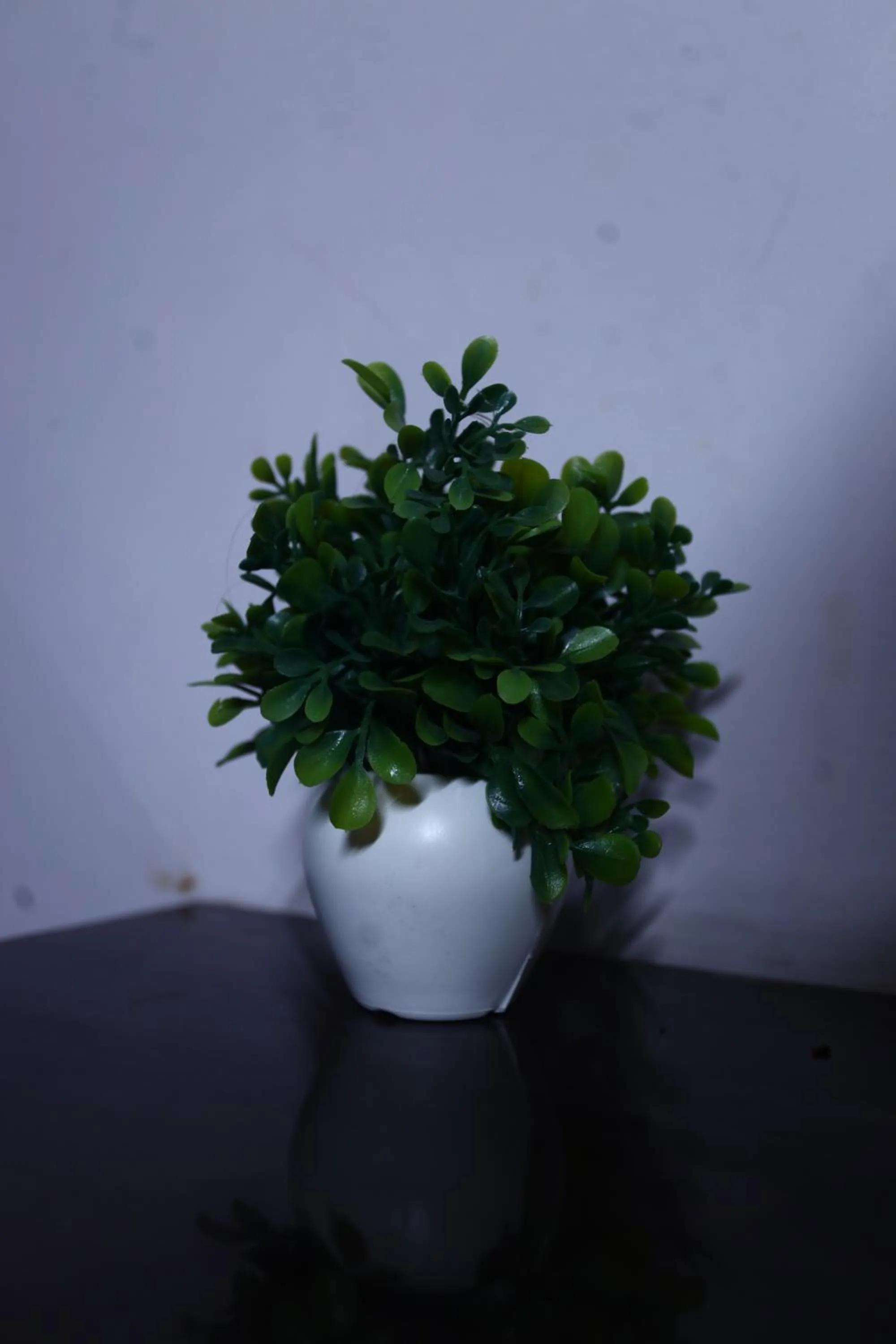 The Bed And Rock Kalkaji