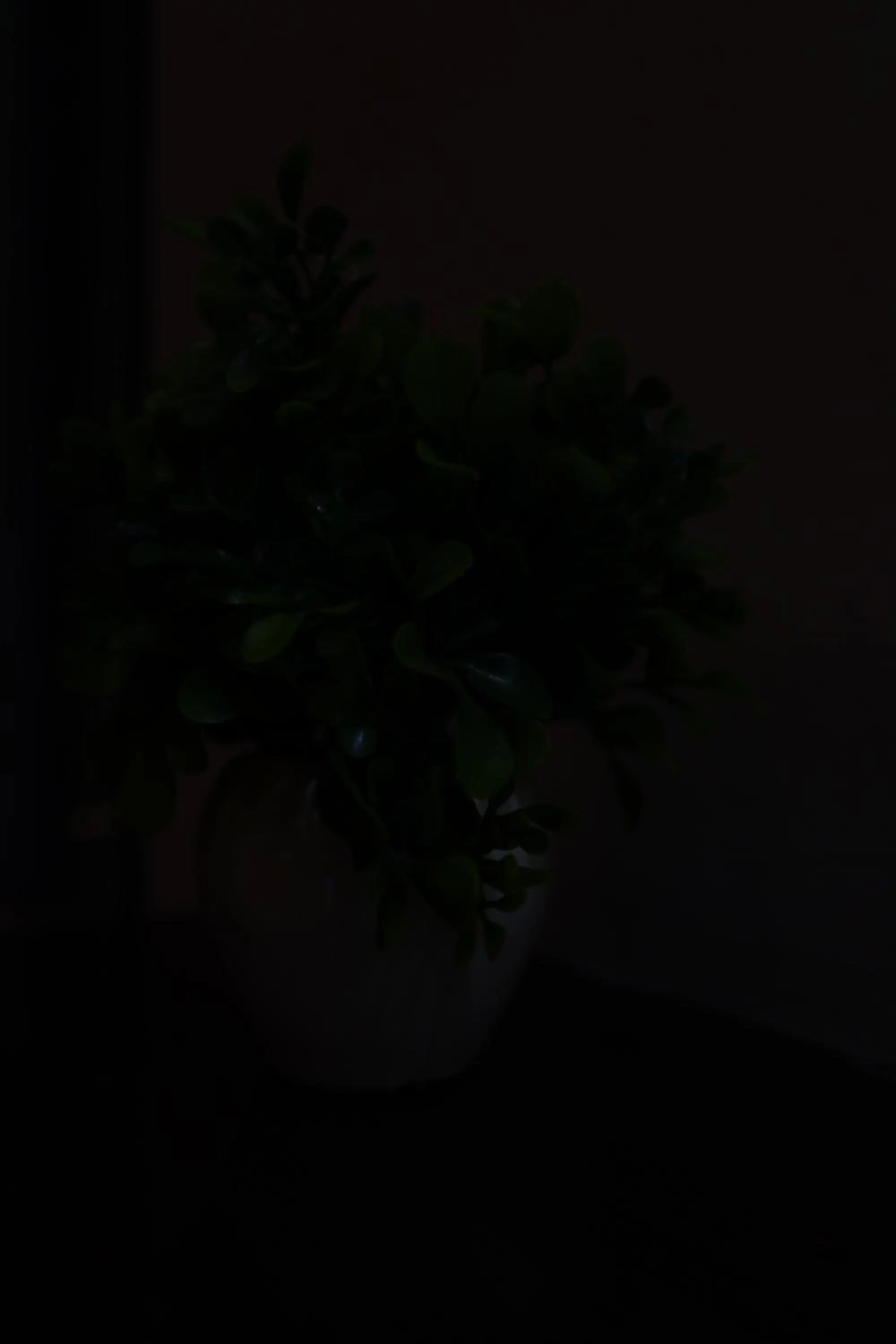 The Bed And Rock Kalkaji