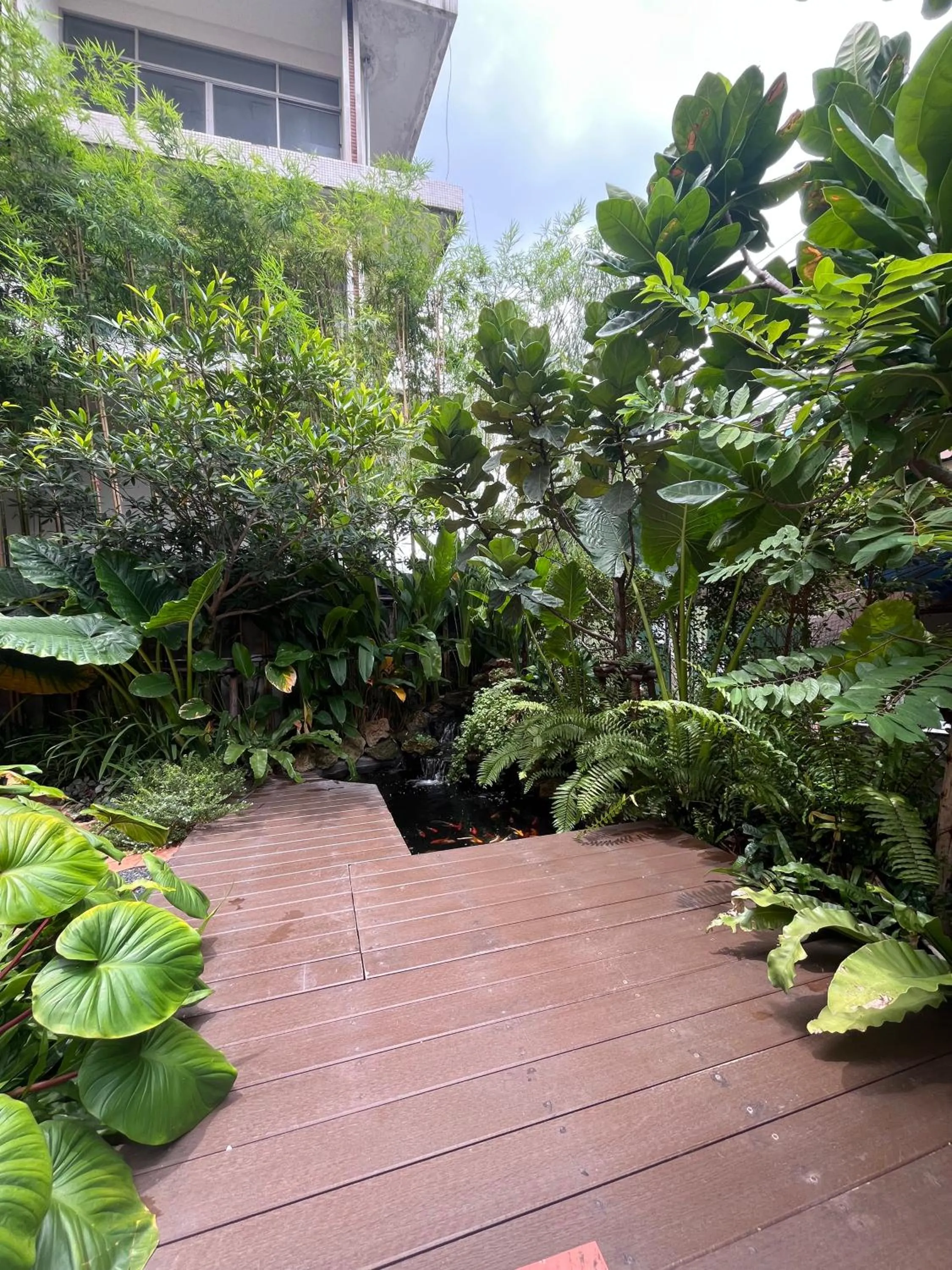 Garden in Bonita House
