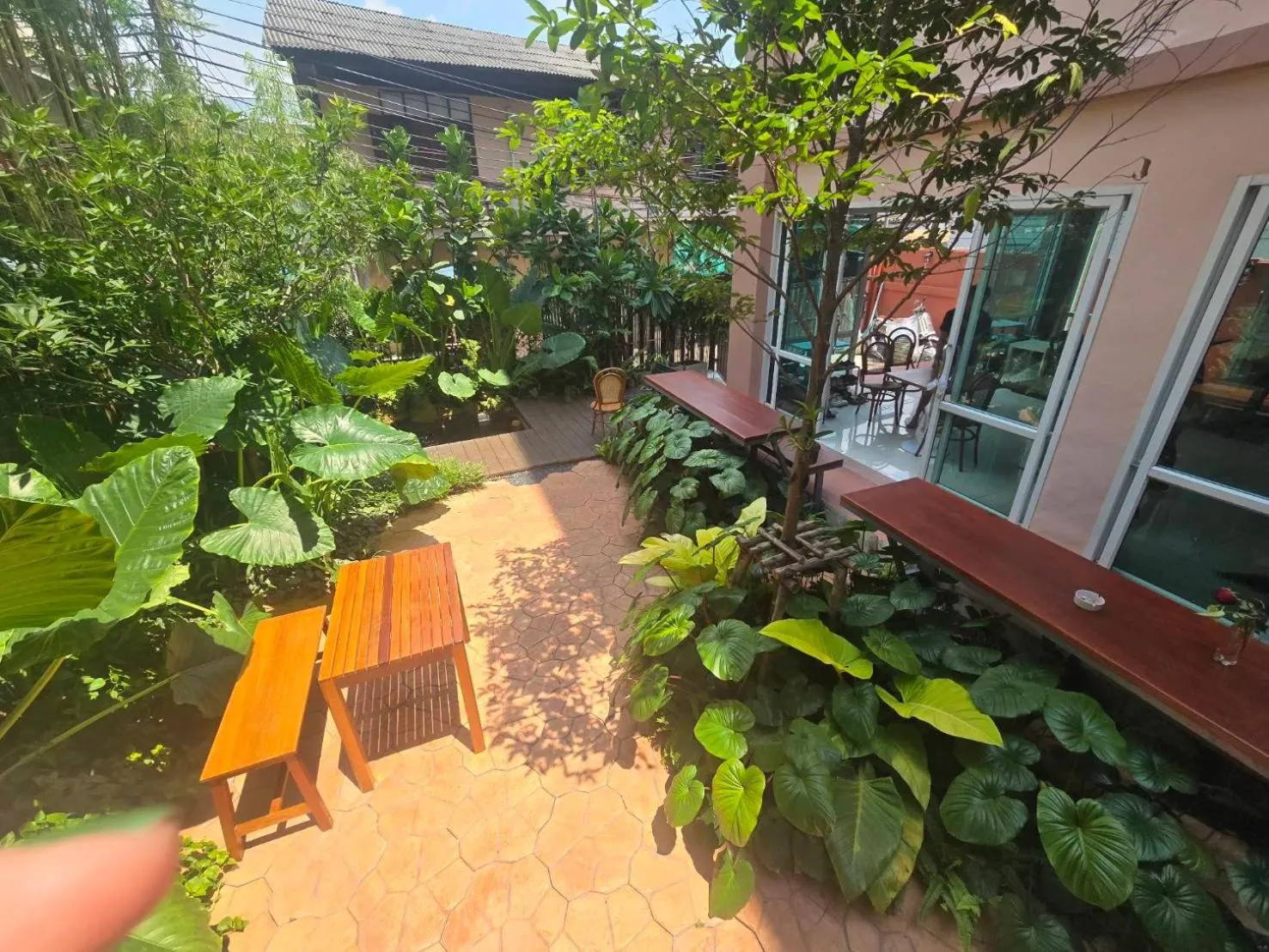 Garden in Bonita House