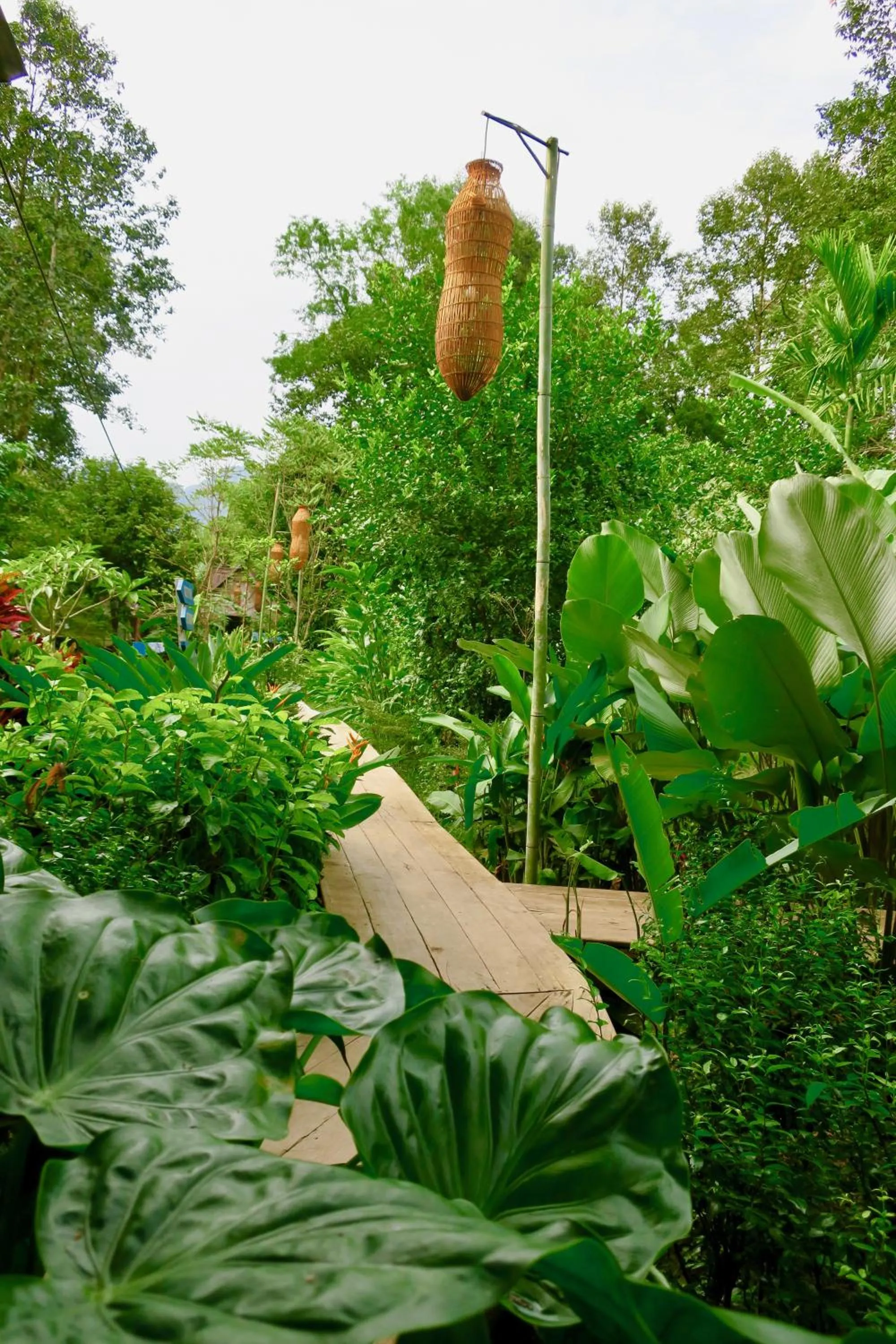 Garden in SpringRiver Resort