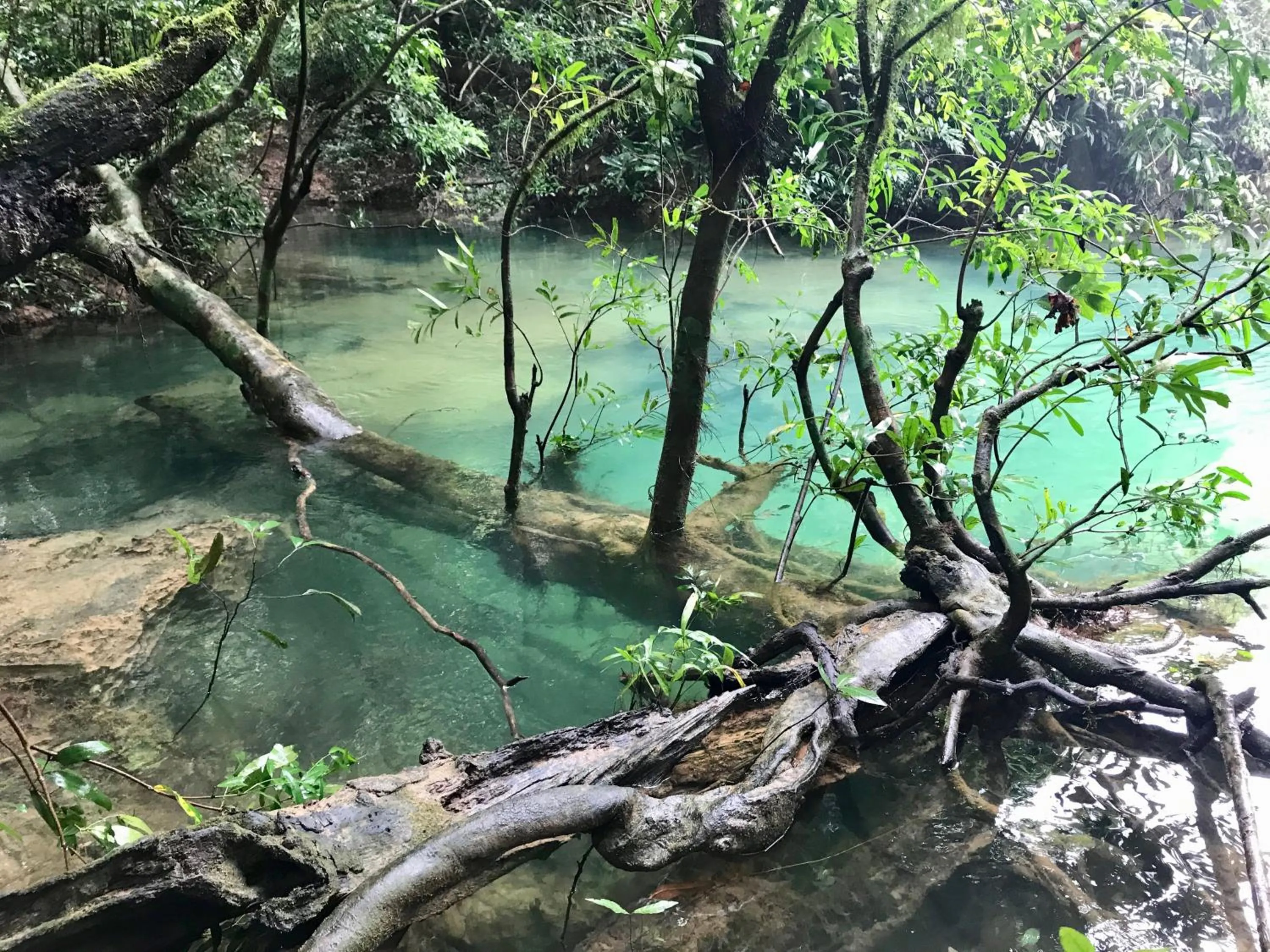 Natural landscape in SpringRiver Resort