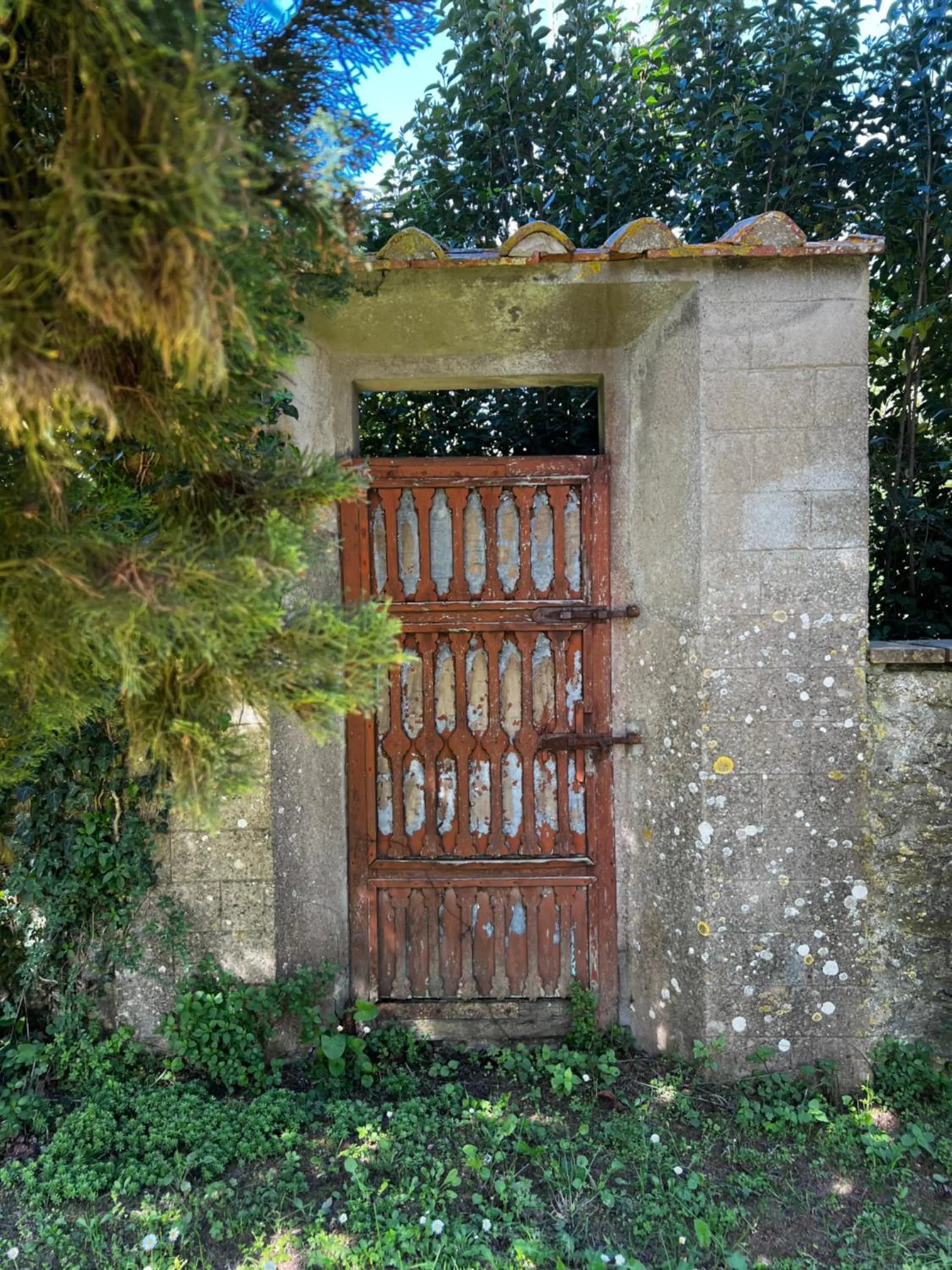 Spring in Villa Mucellena