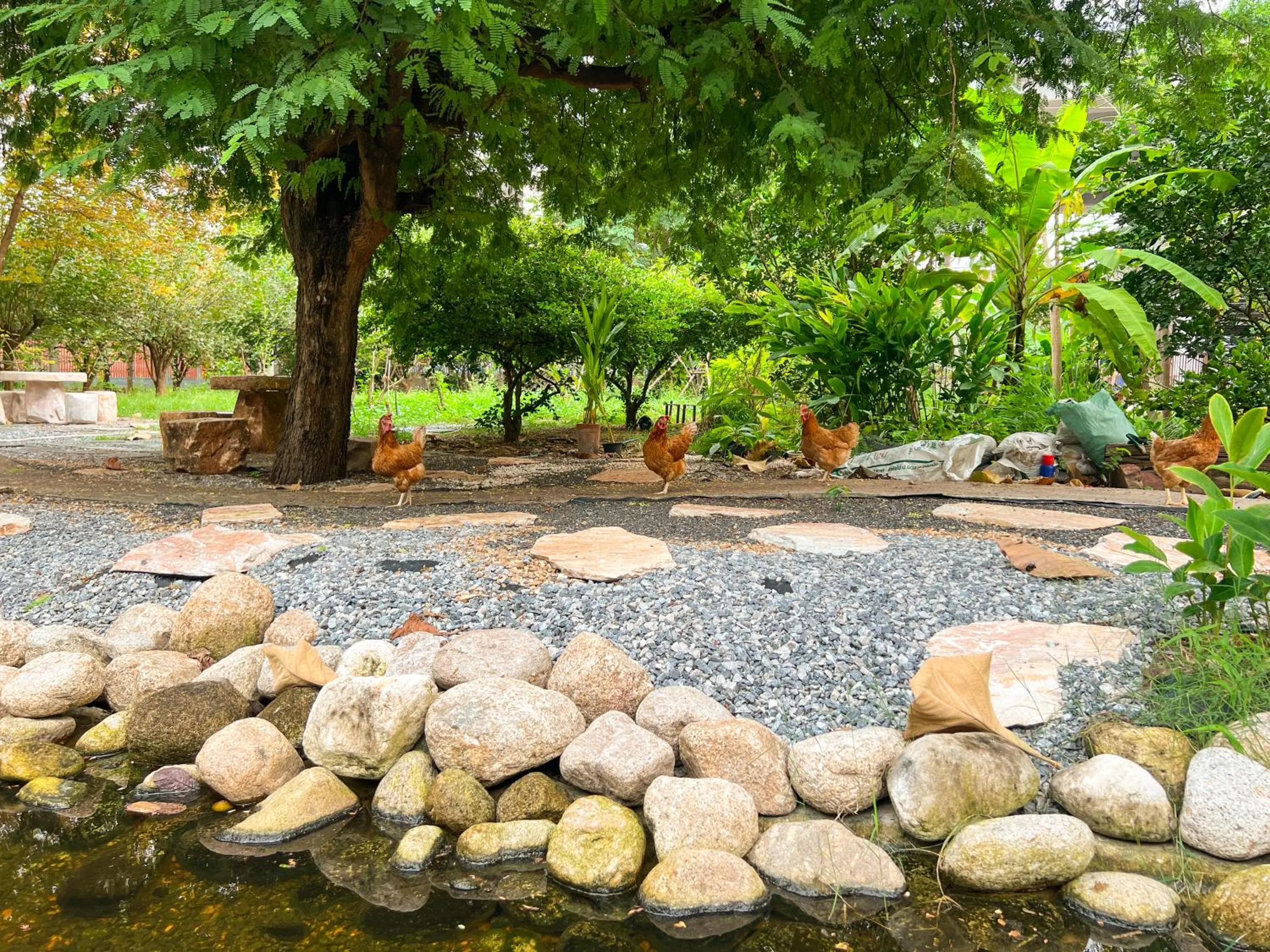 Garden in The Choice Hotel - Adults Only