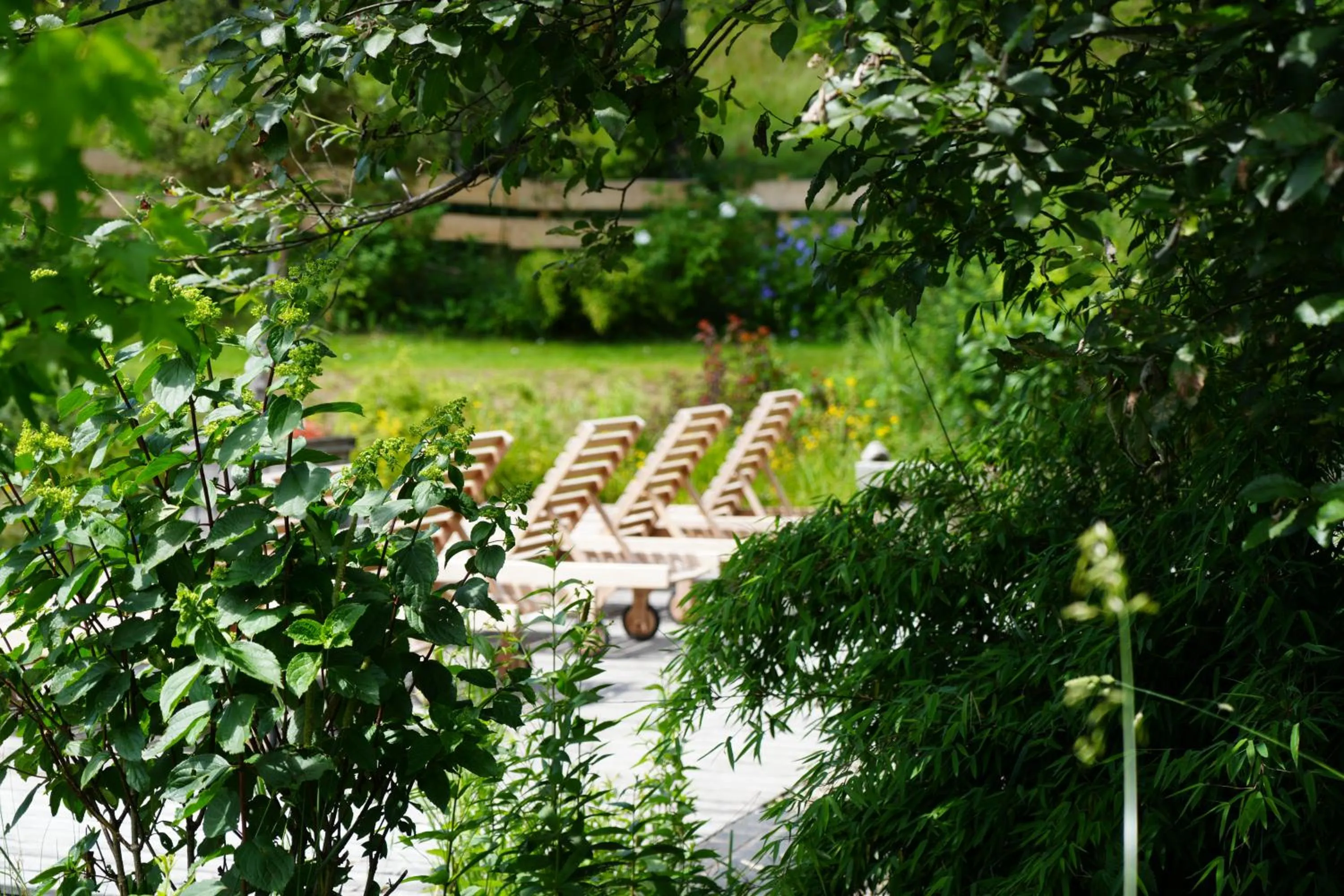 Day in Boutique Hotel Herzhof - Garni-Appartements - Adults Only