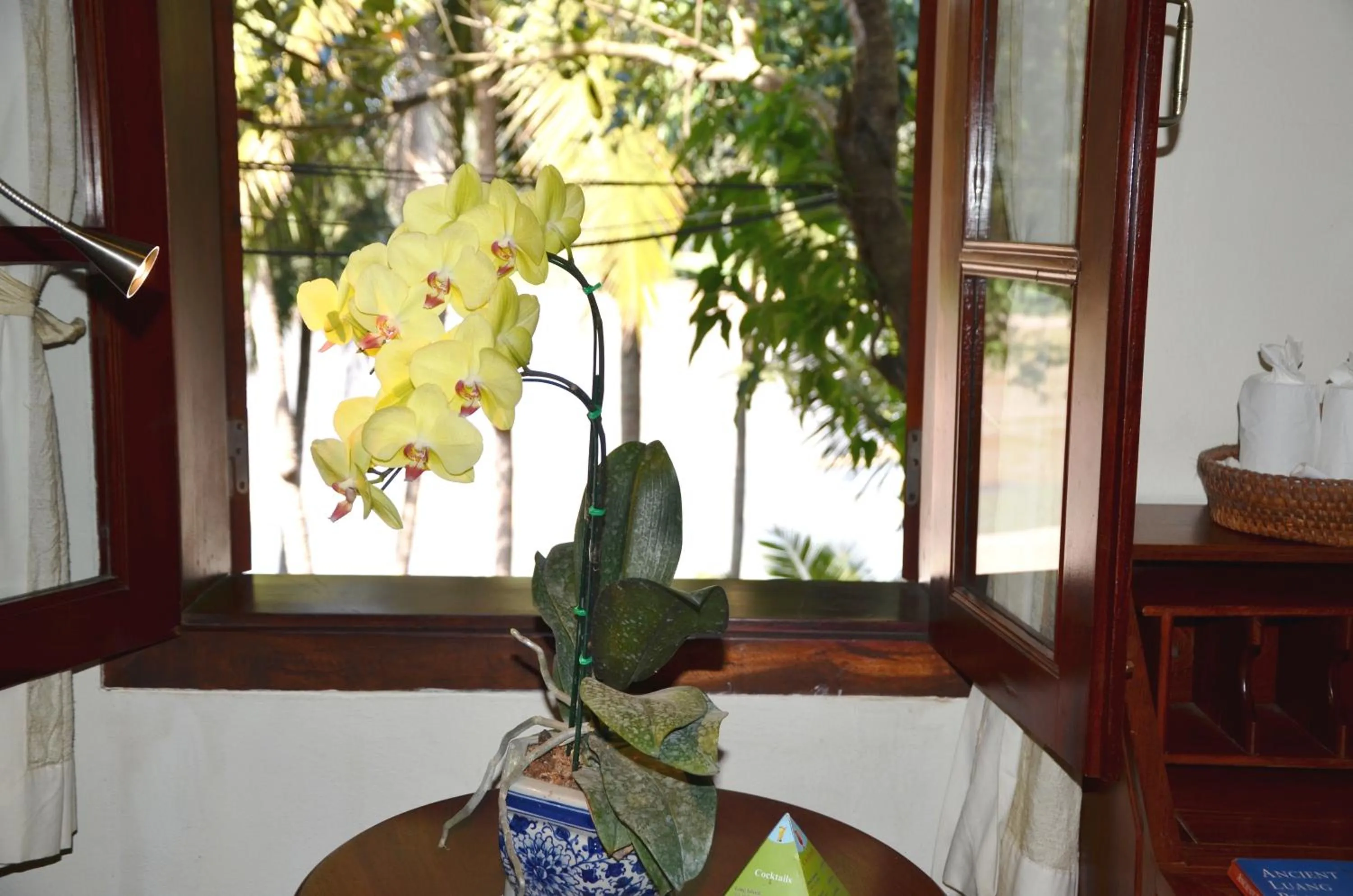 River view in Mekong Riverview Hotel