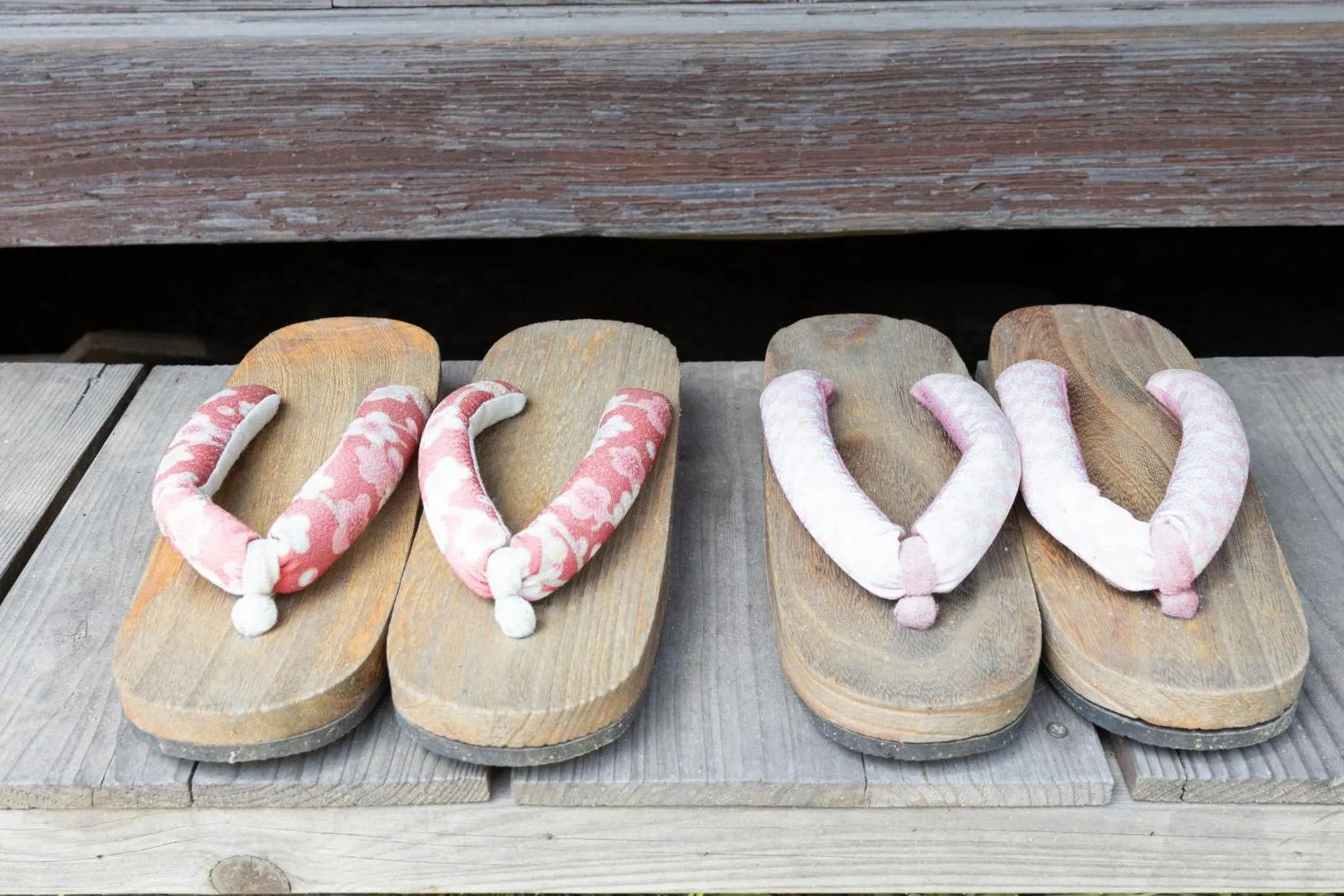 Garden in Villa Sacra