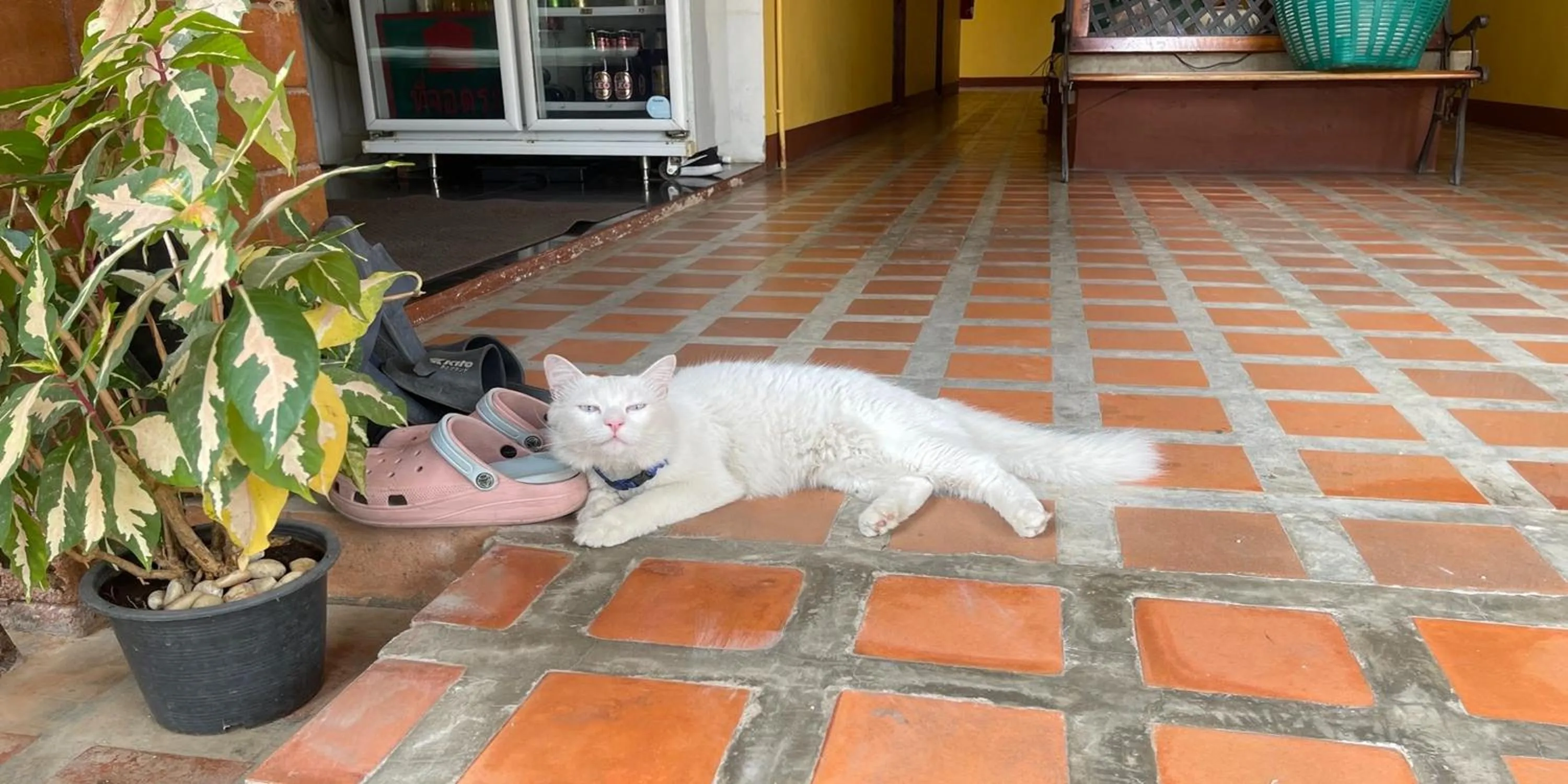 Property building in Yellow Tique Hotel