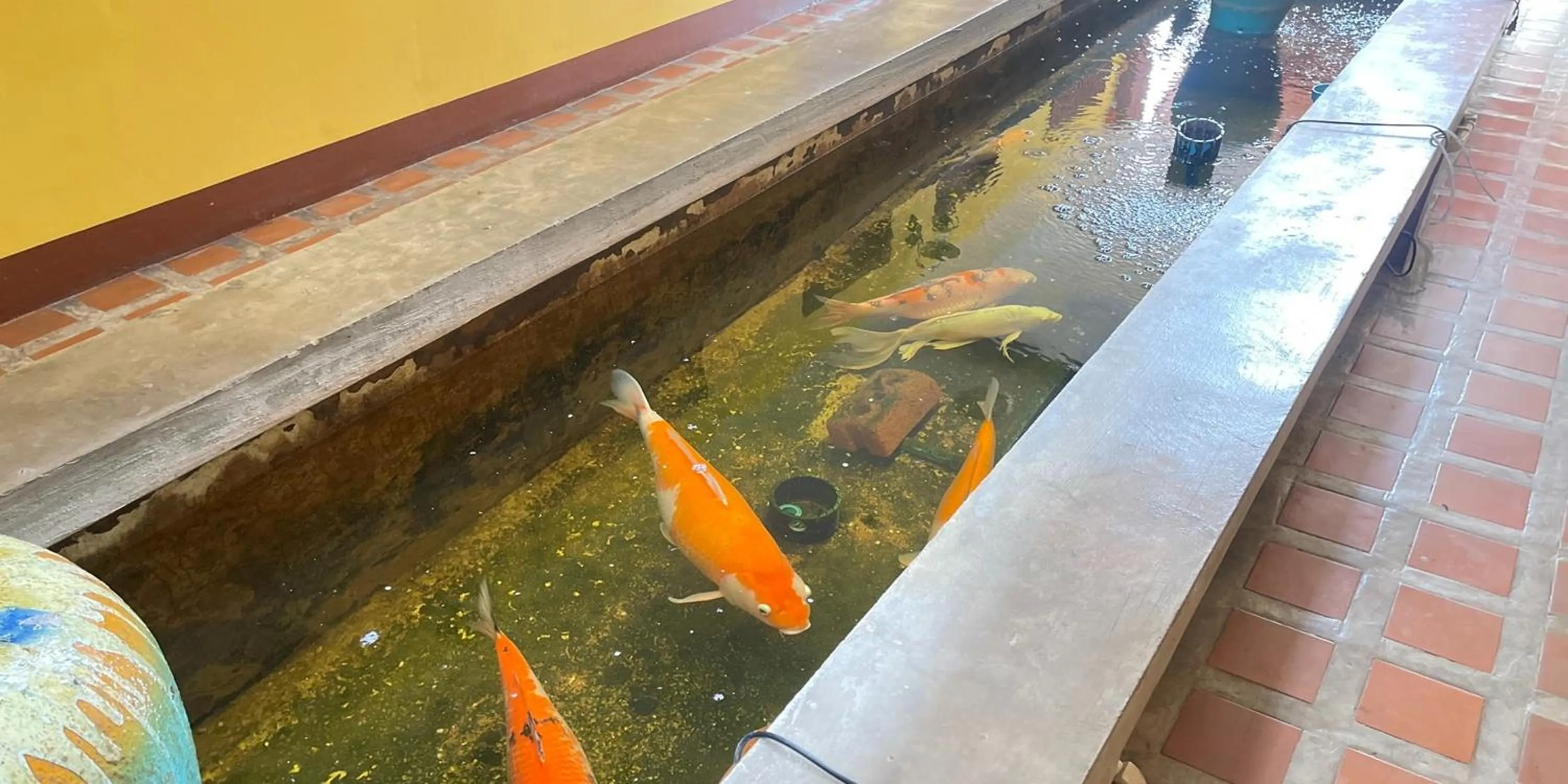 Property building in Yellow Tique Hotel