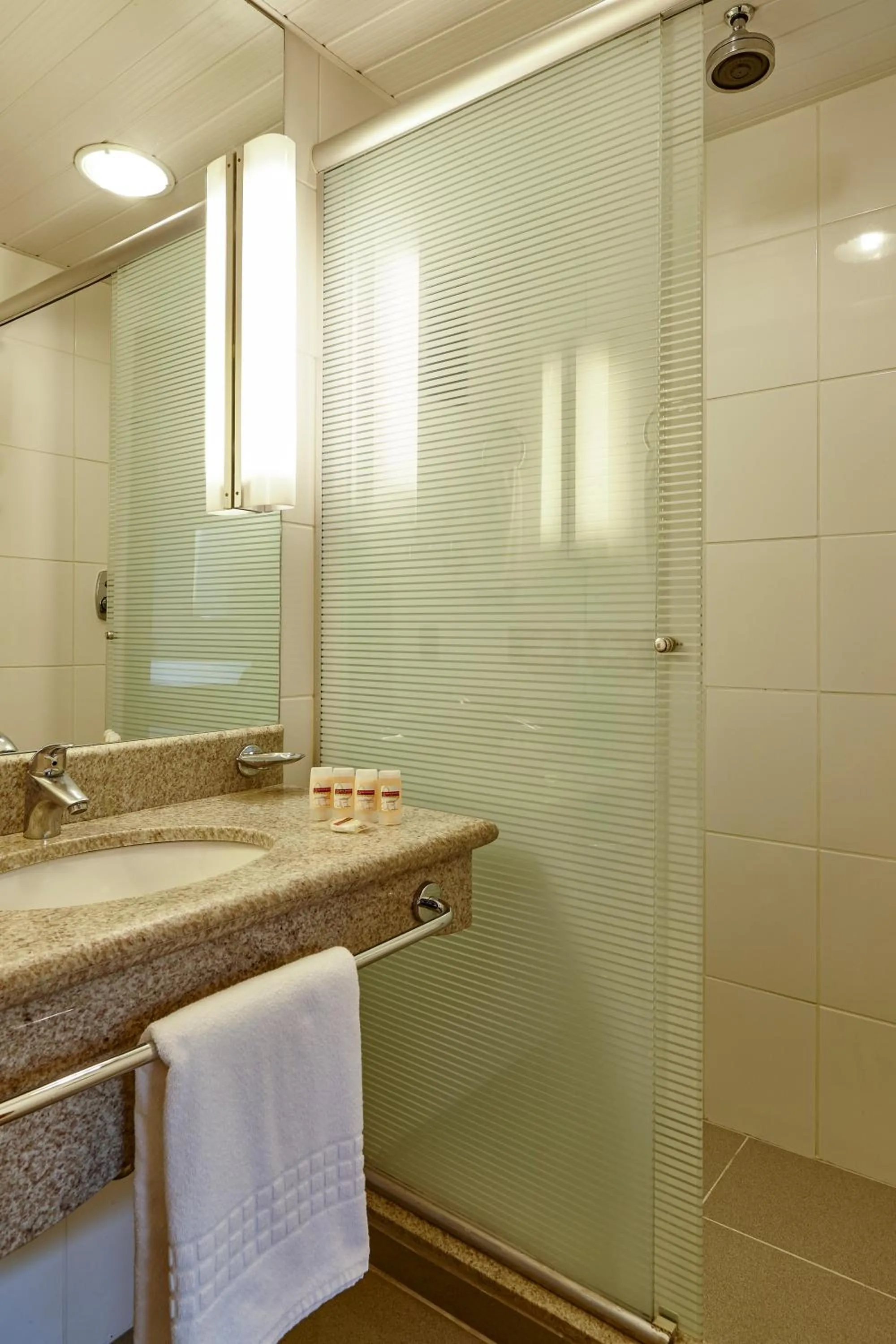 Shower in Novotel Sao Jose dos Campos