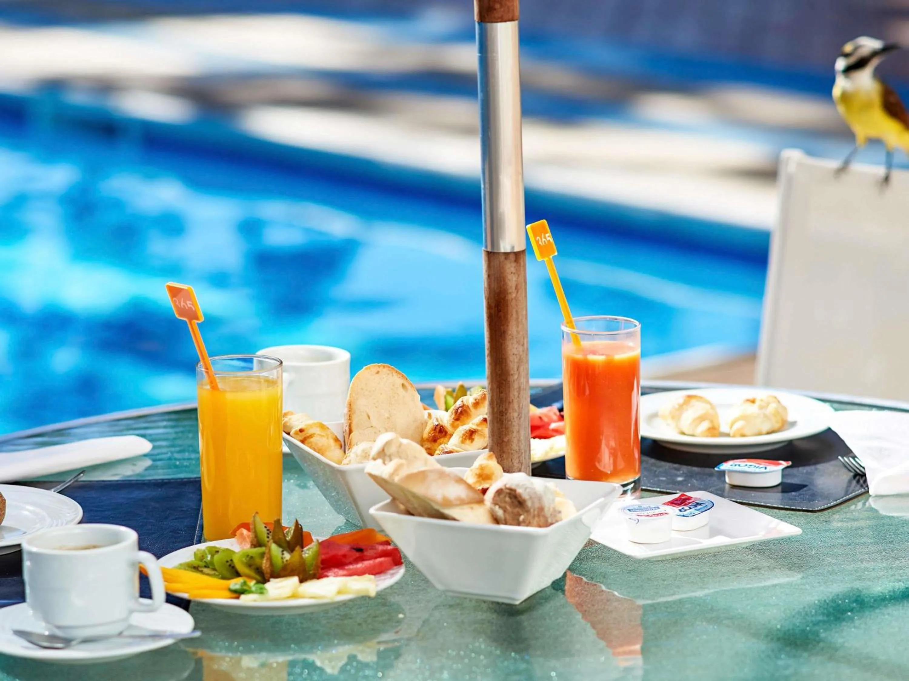 Pool view in Novotel Sao Jose dos Campos