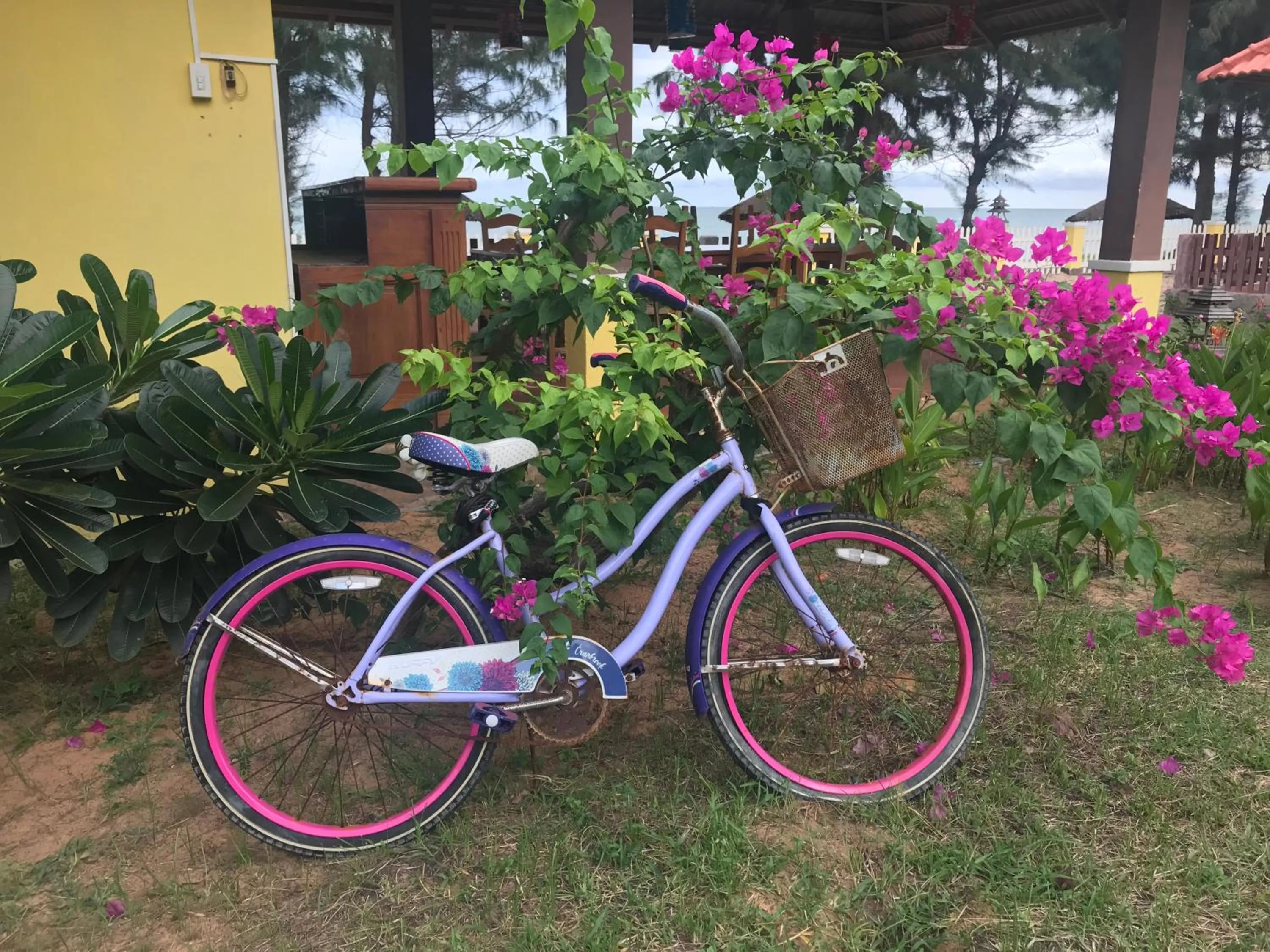 Garden in Orchid Boutique Beach Resort