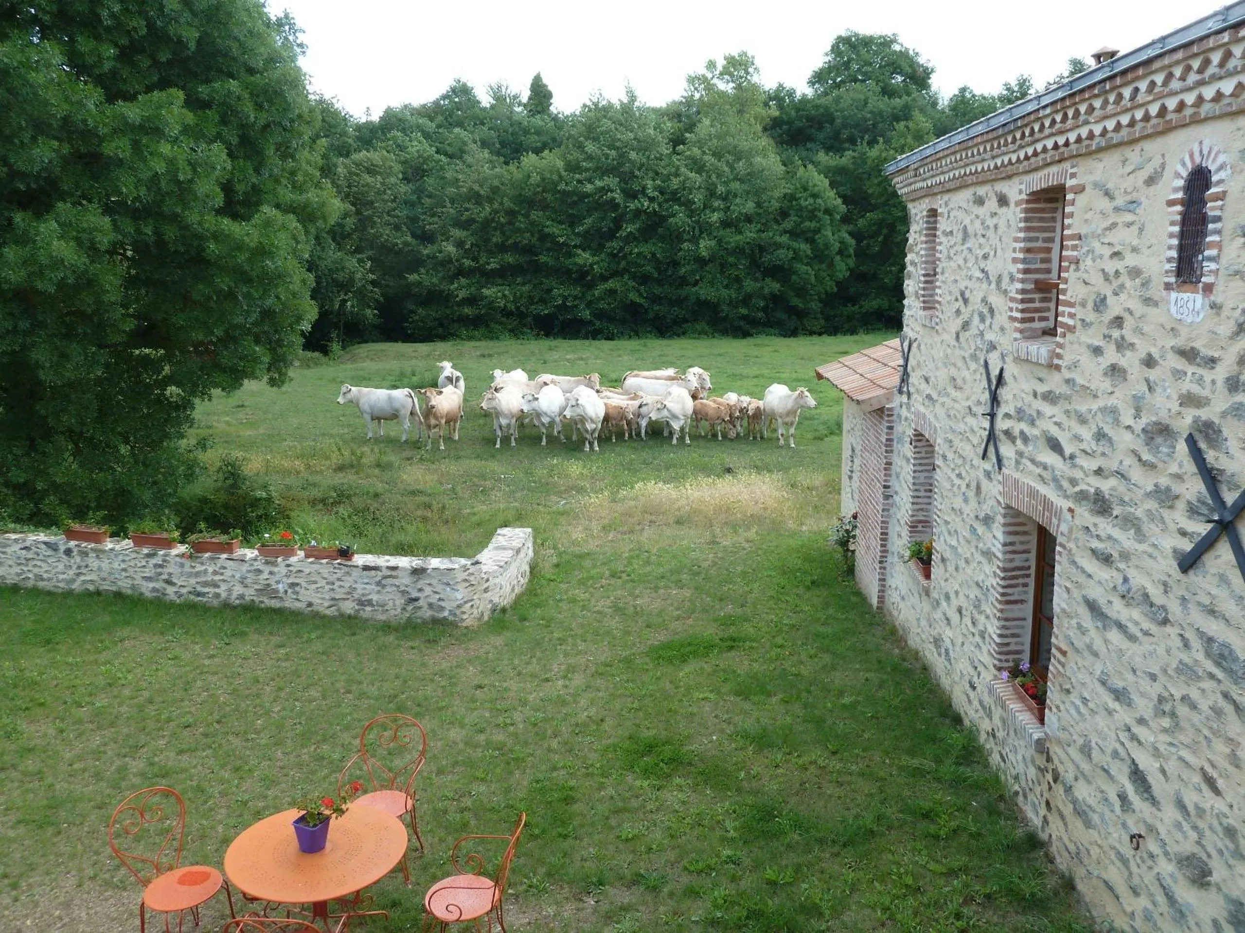 Animals in Le Moulin de Drapras