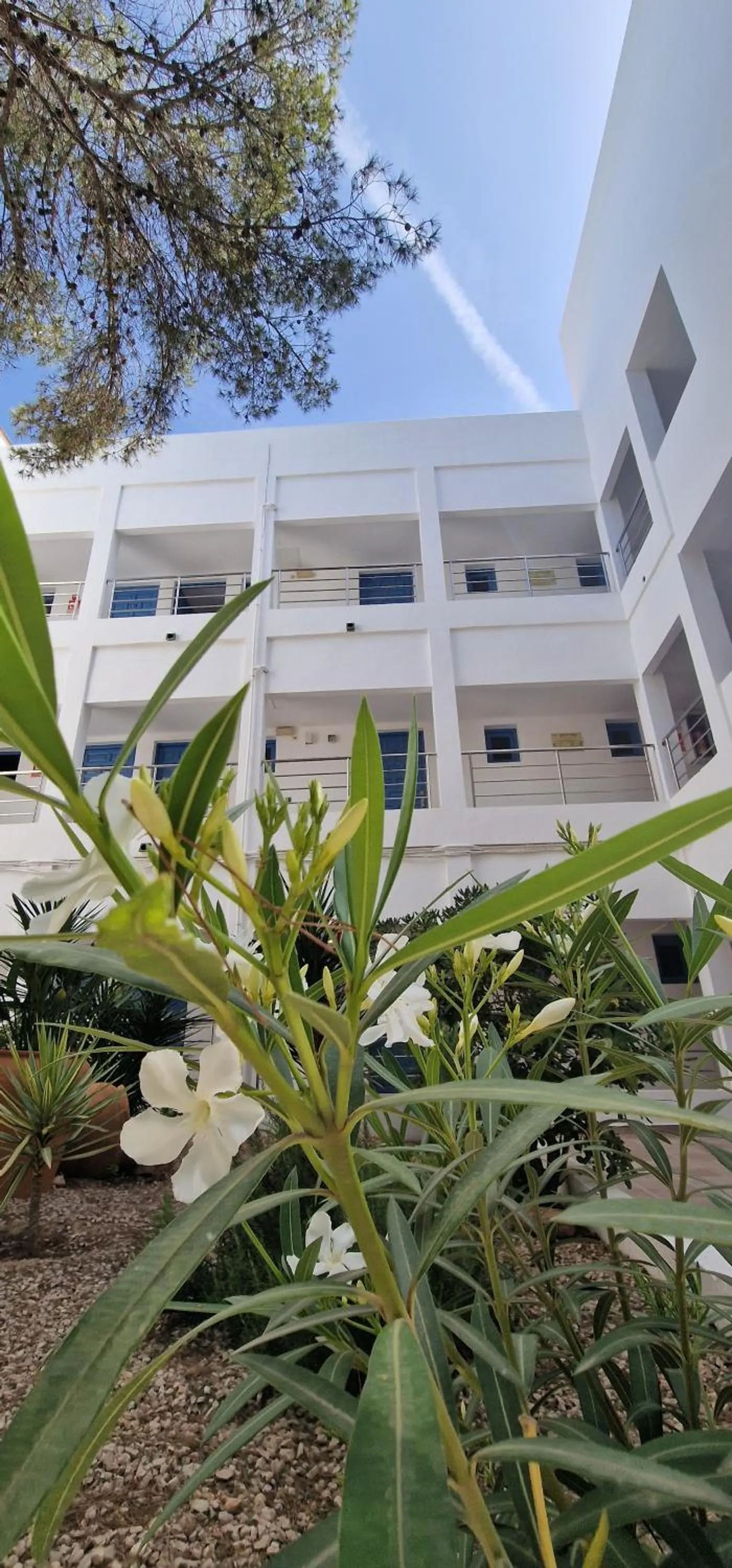 Property building in Apartamentos Costamar II