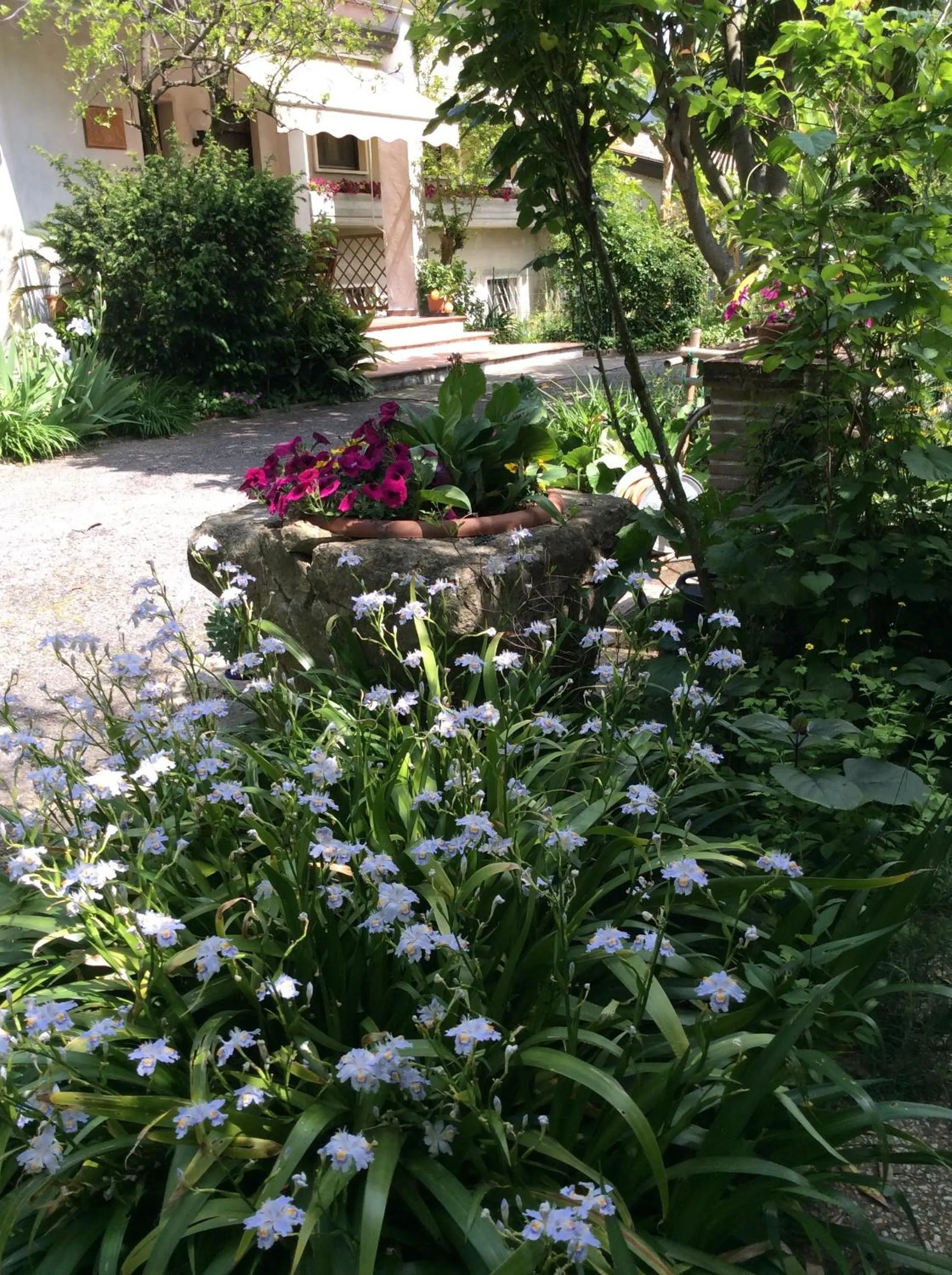 Garden in B&B Oasi di Venezia