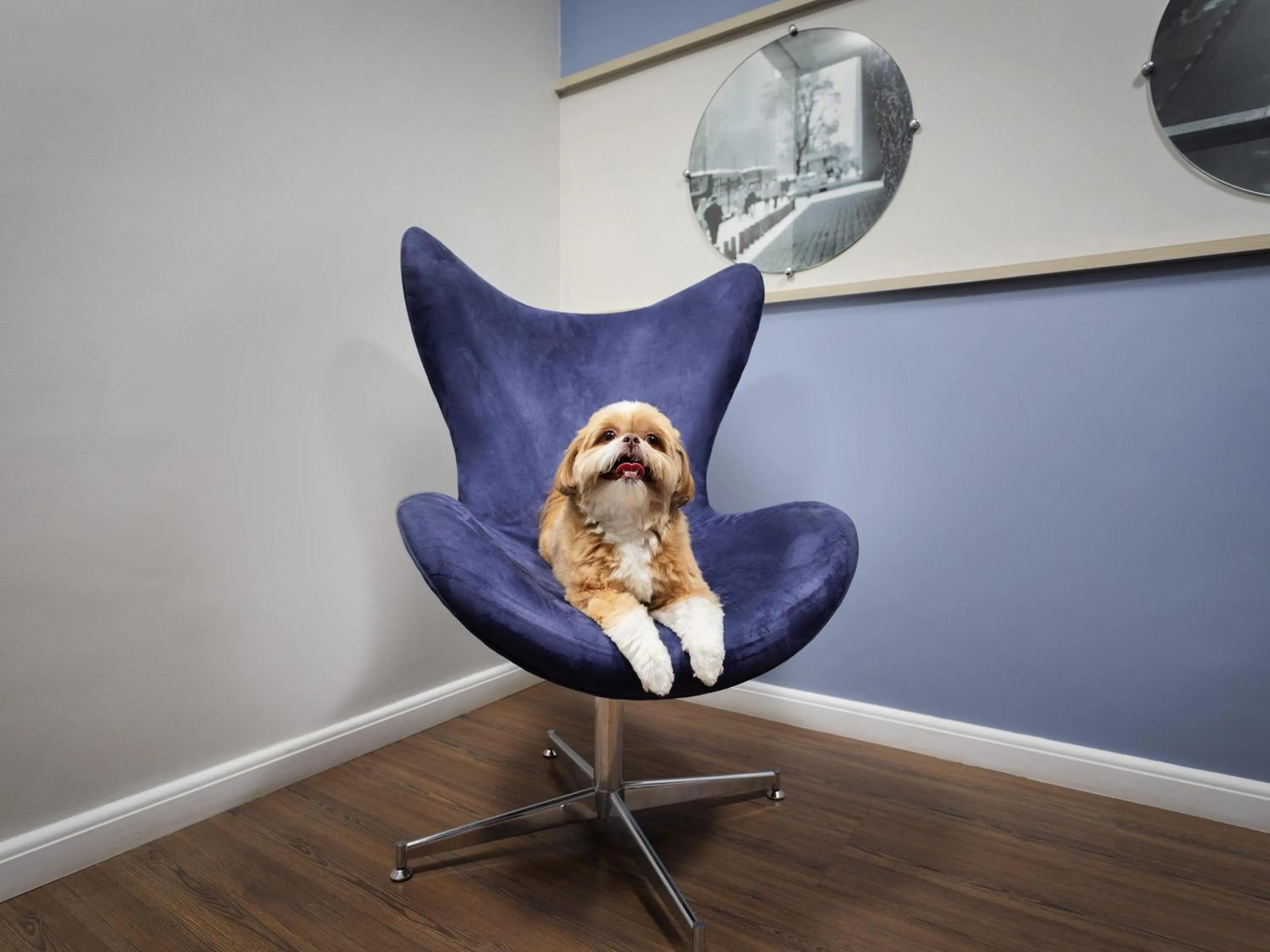 Bedroom in Mercure Sao Paulo Pamplona