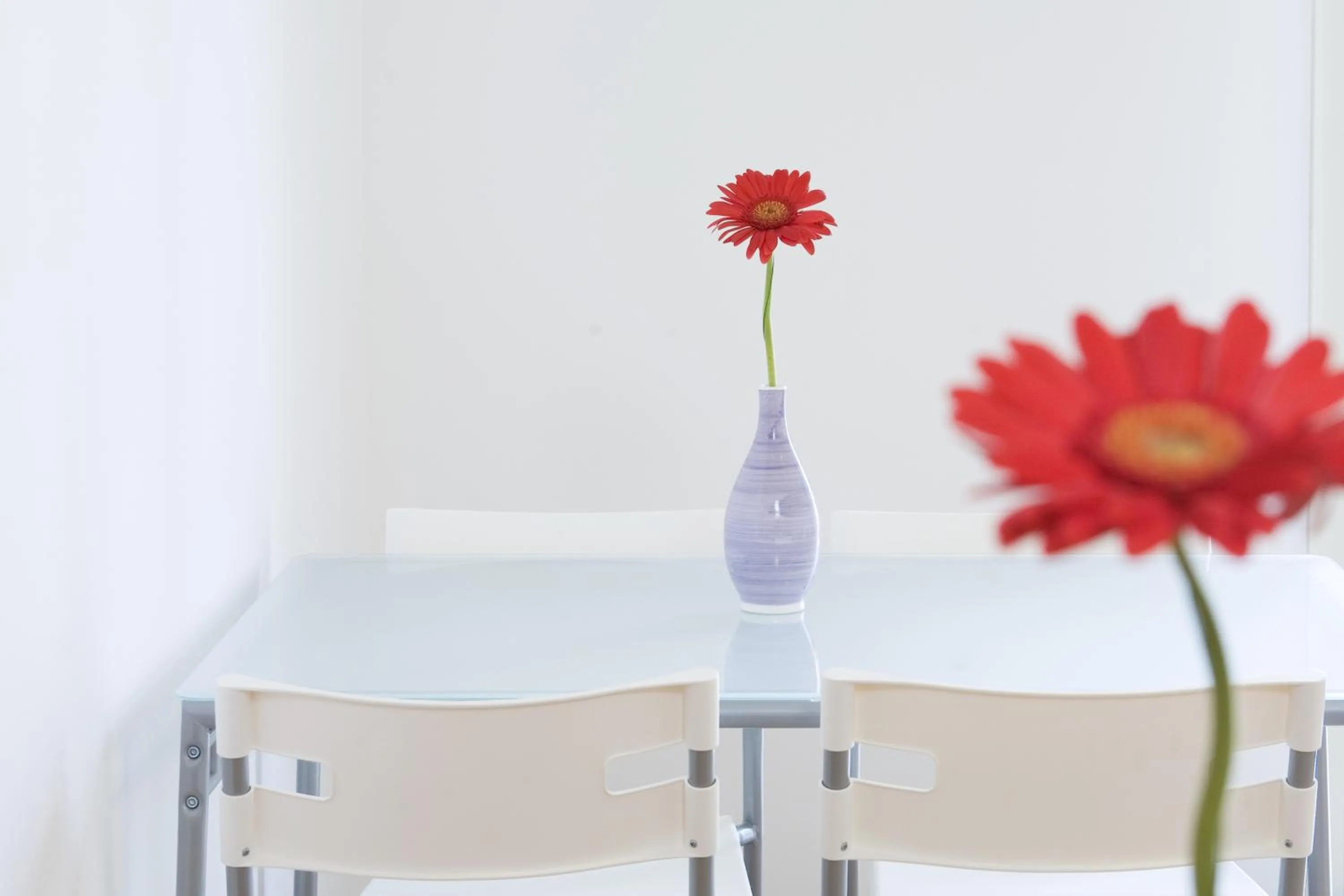 Communal lounge/ TV room in B&B La Gatta Bianca