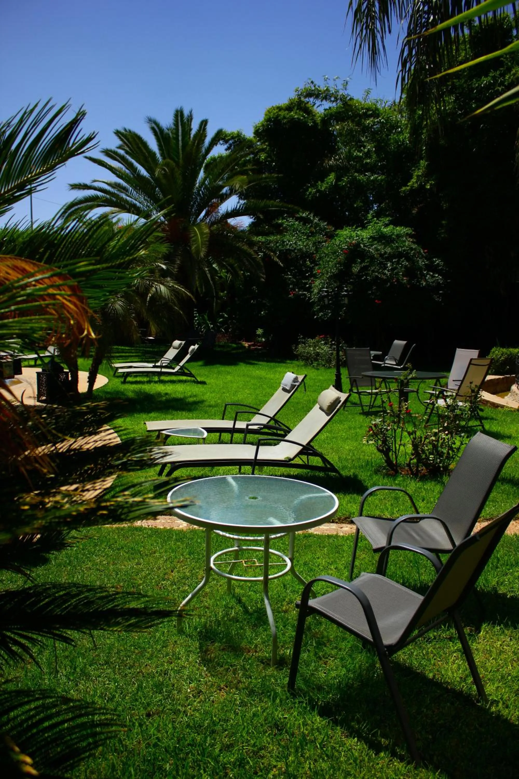 Garden in Riad Noumidya