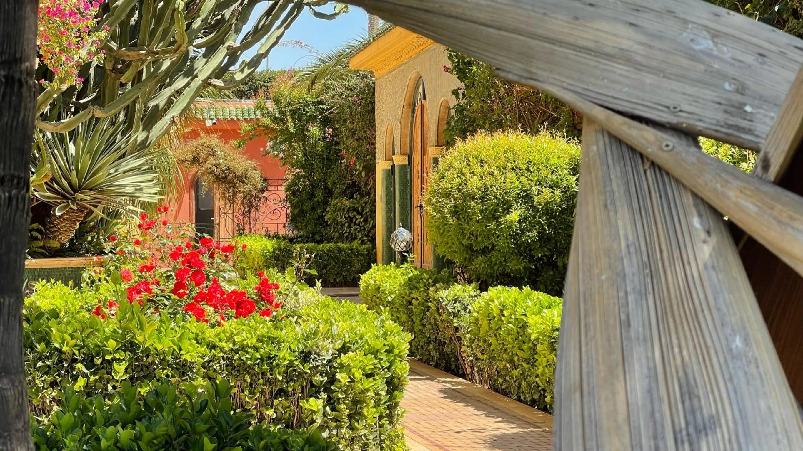 Garden in Riad Noumidya