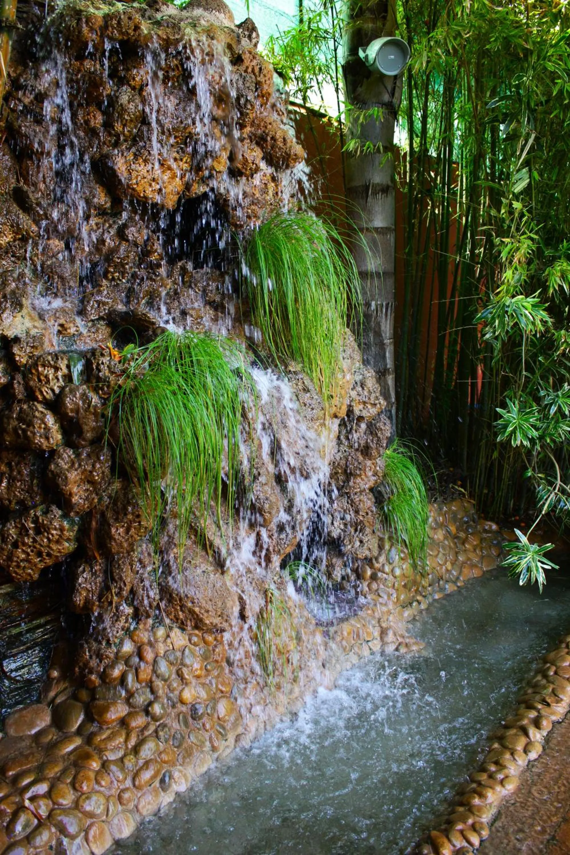 Garden in Riad Noumidya