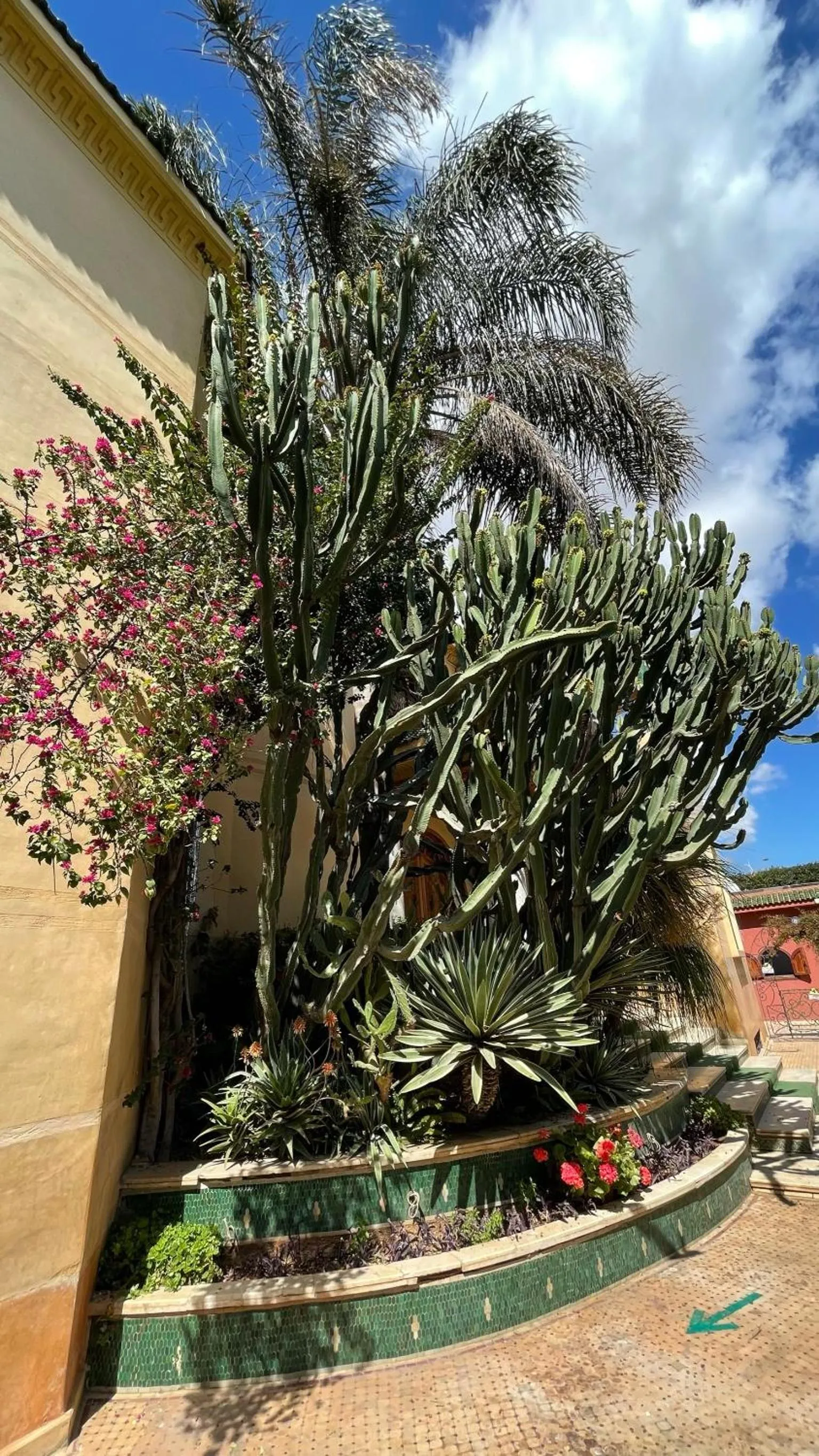 Garden in Riad Noumidya