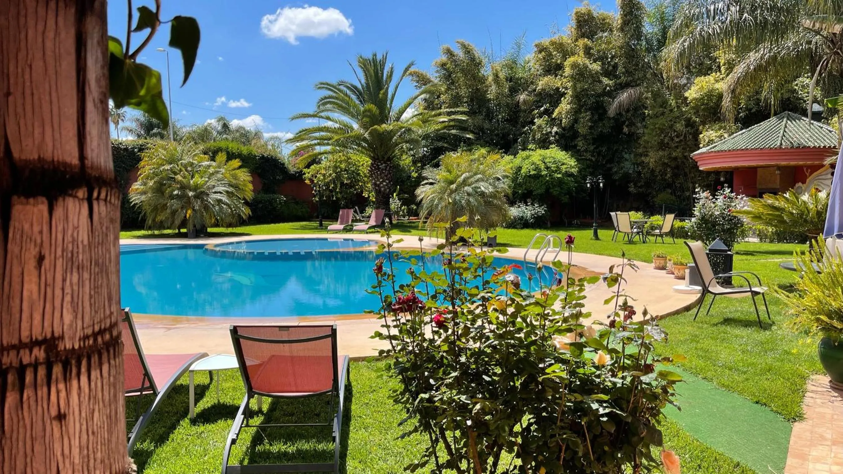 Garden in Riad Noumidya
