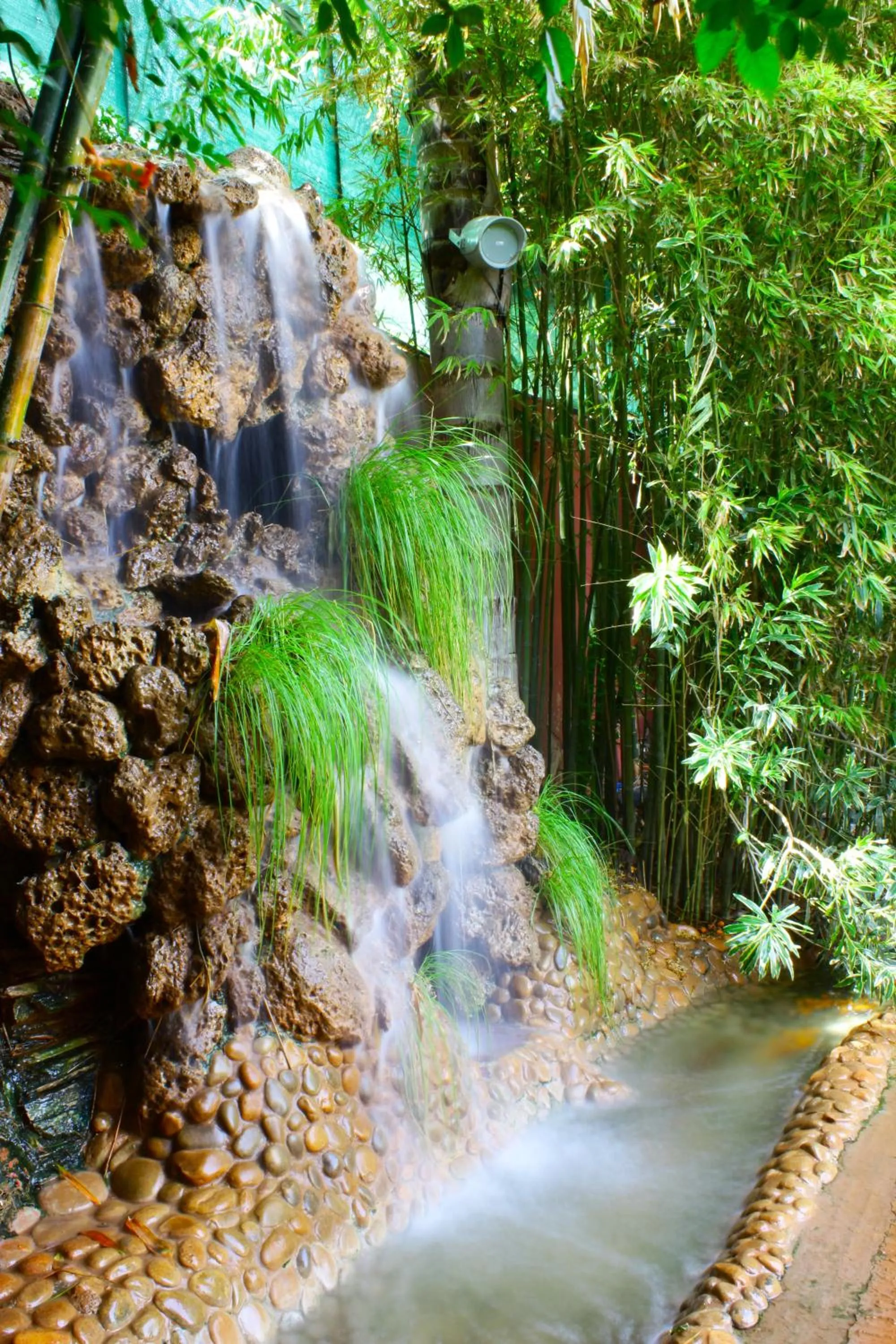 Garden in Riad Noumidya