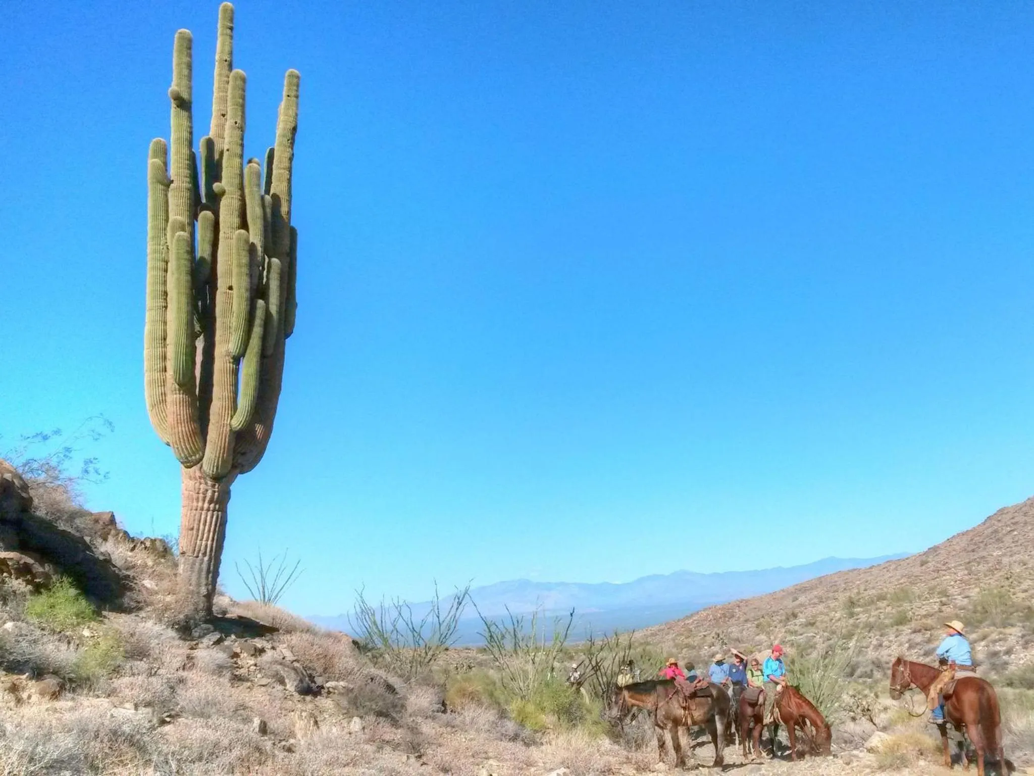 Day in Stagecoach Trails Guest Ranch