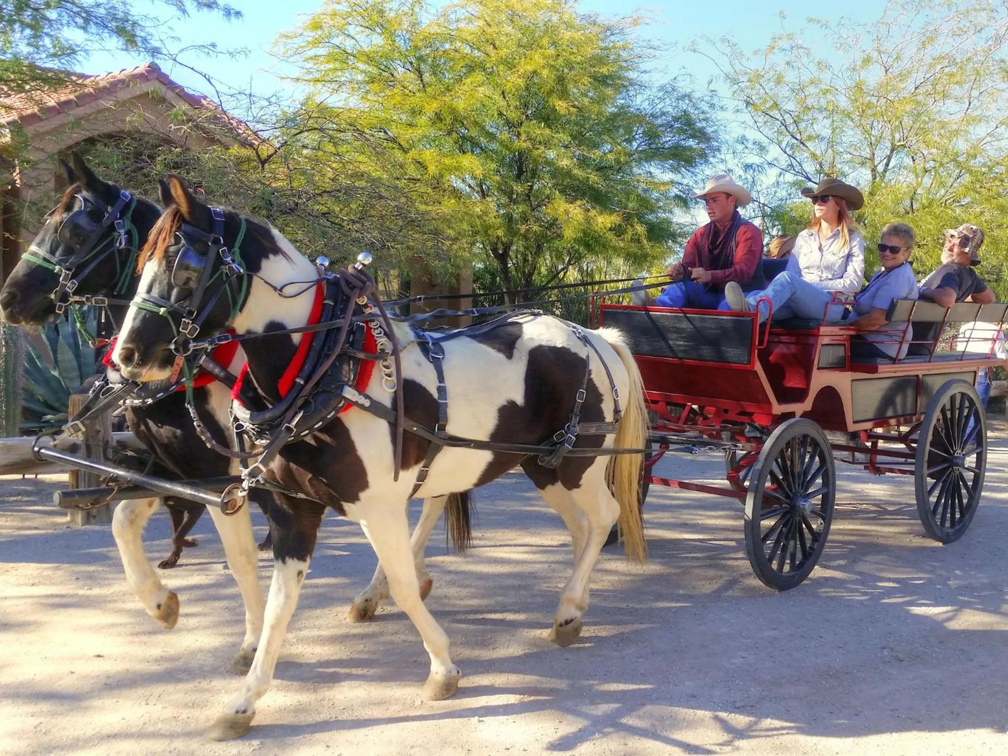 Day in Stagecoach Trails Guest Ranch