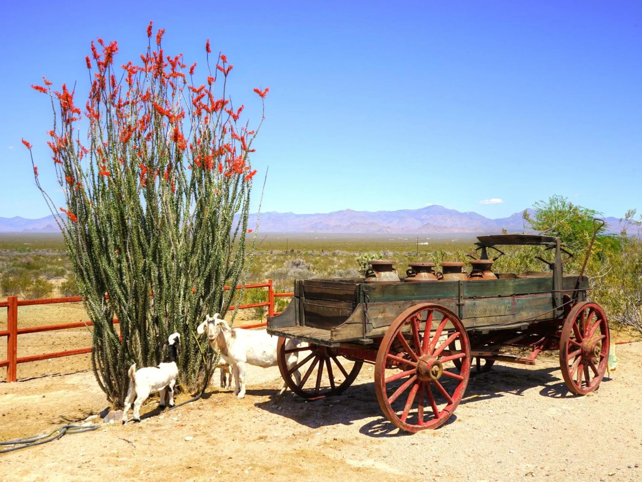 Day in Stagecoach Trails Guest Ranch
