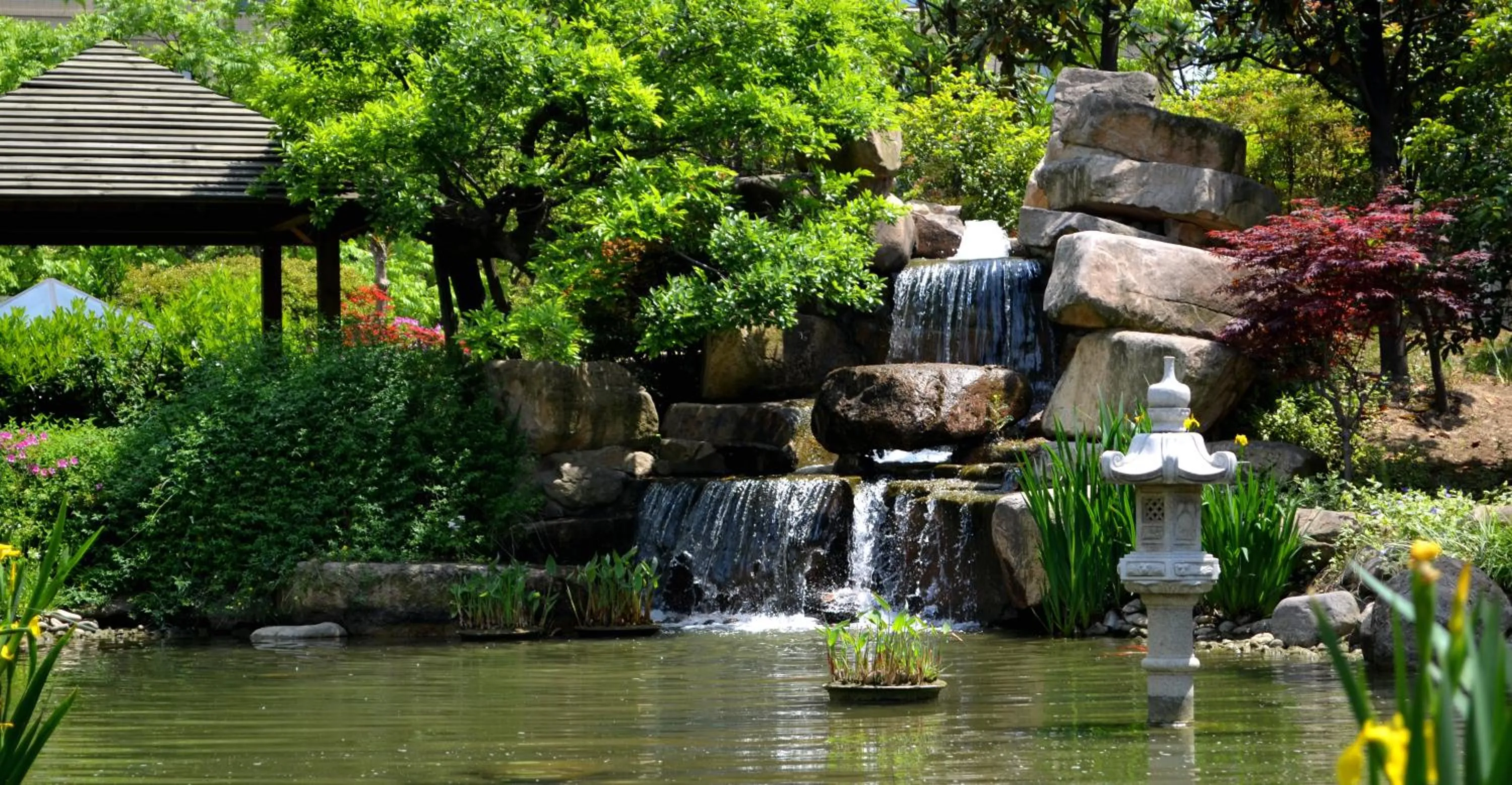 View (from property/room) in Belgravia Serviced Residence Wuxi