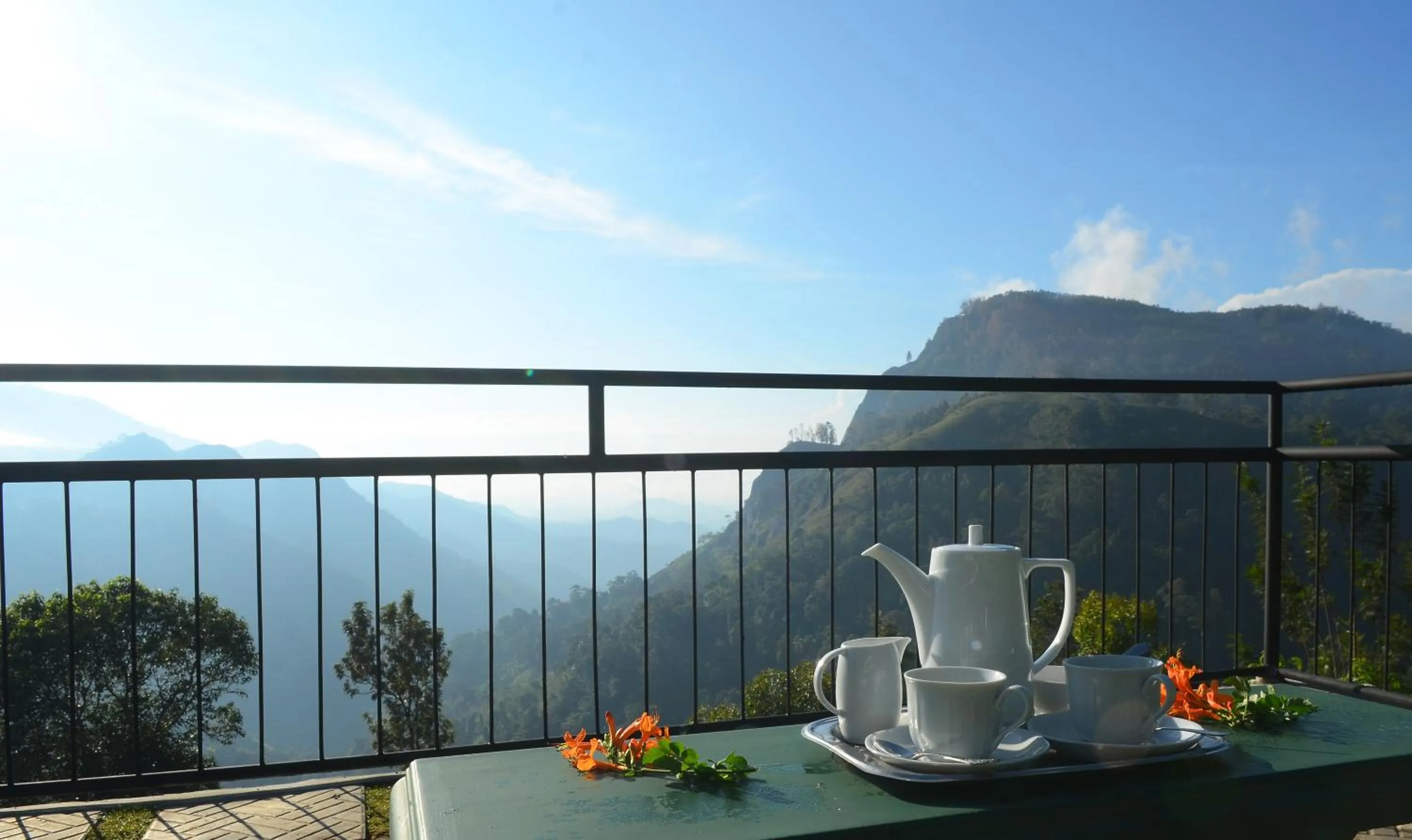 Garden in Ella Gap Panorama