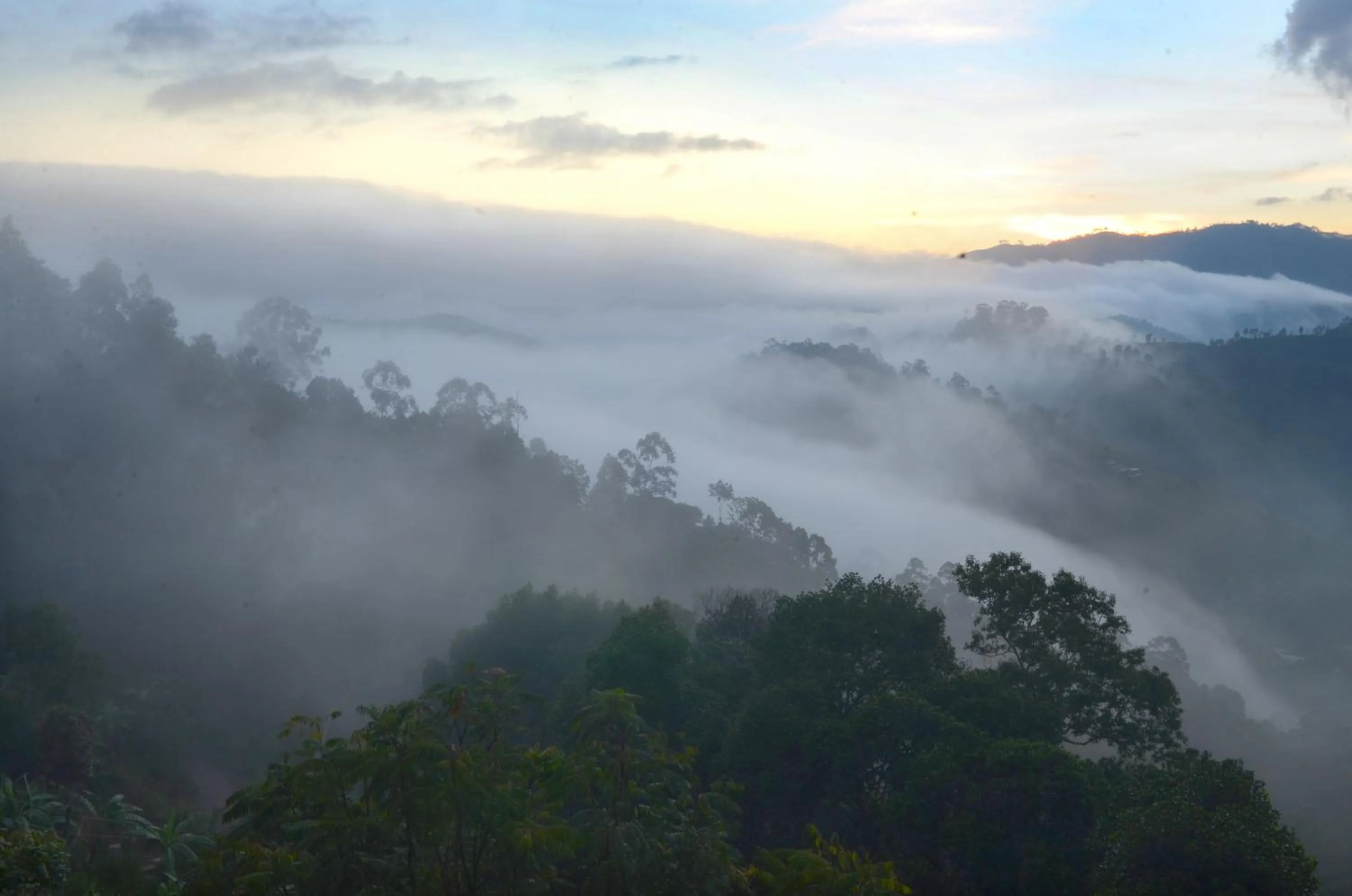 View (from property/room) in Ella Gap Panorama