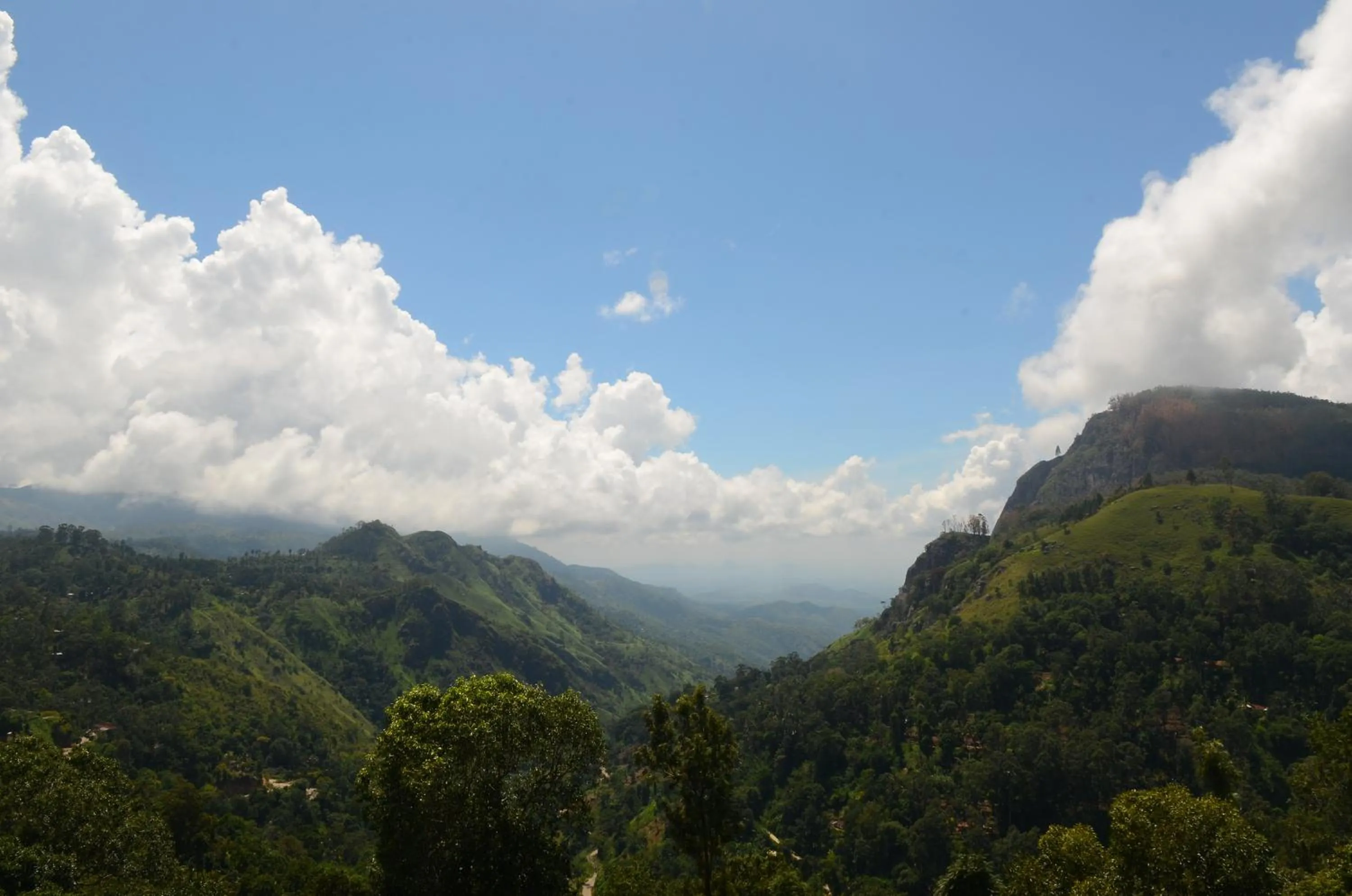 View (from property/room) in Ella Gap Panorama