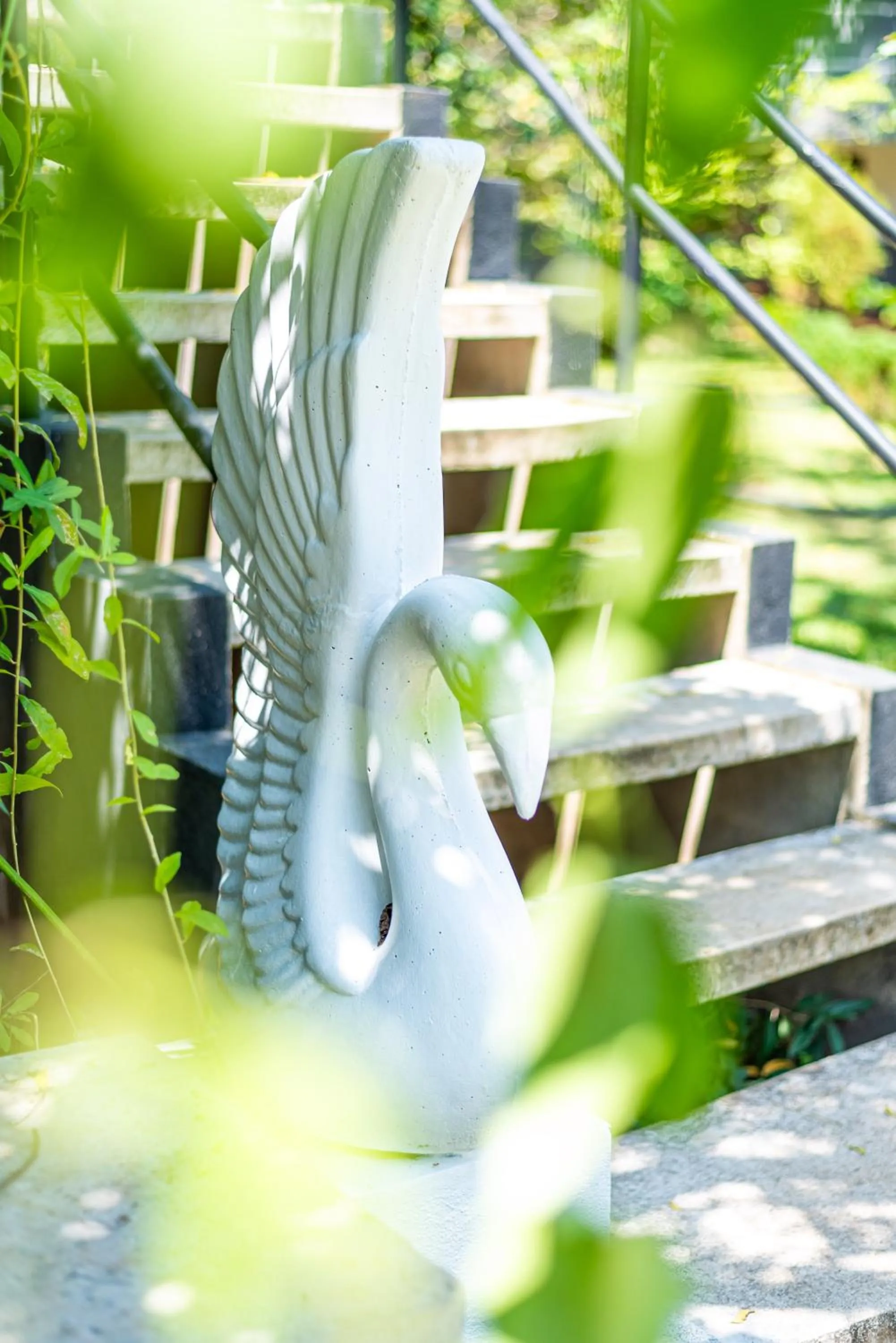 Garden in Eco Hotel Black & White - Anuradhapura