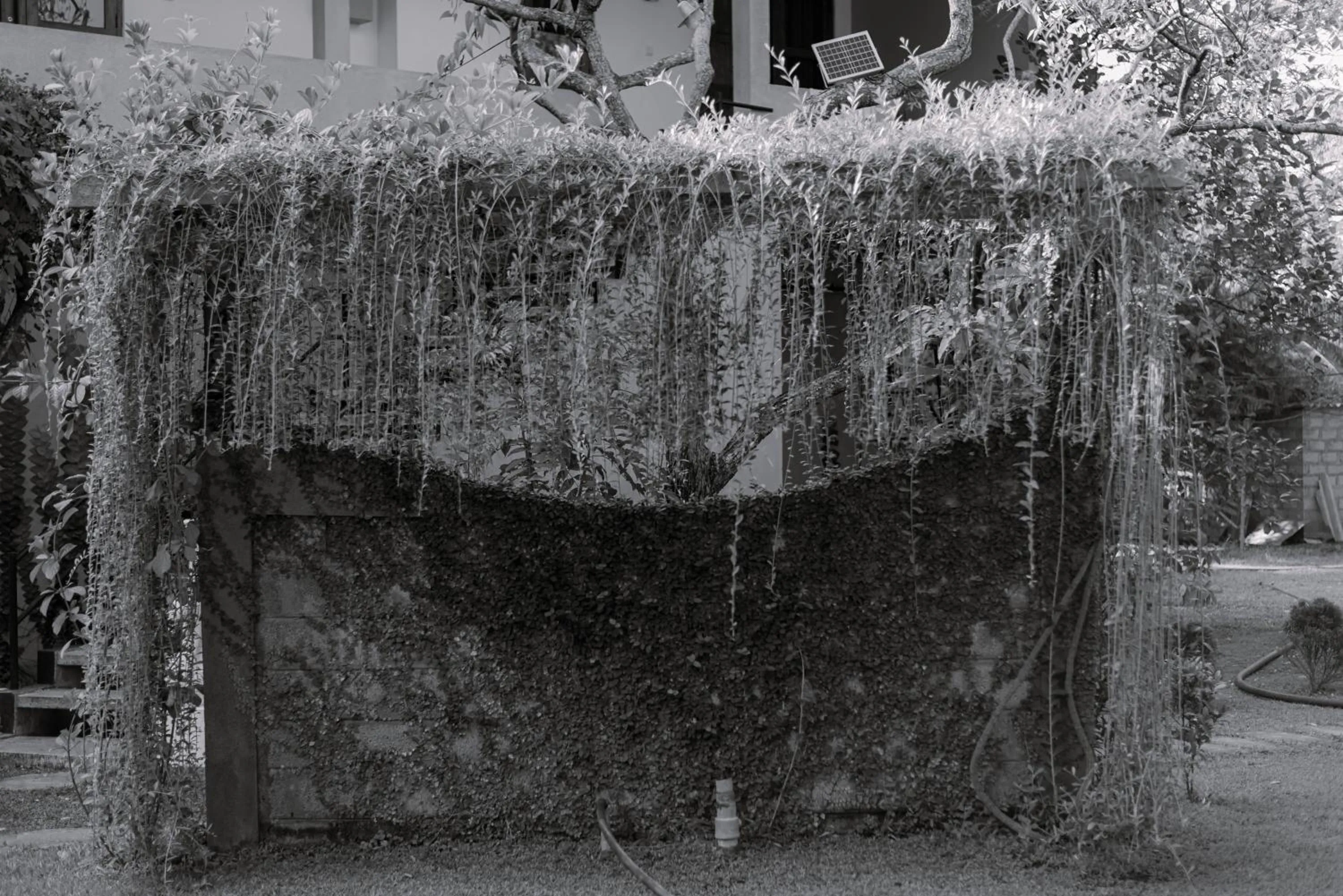 Eco Hotel Black & White - Anuradhapura