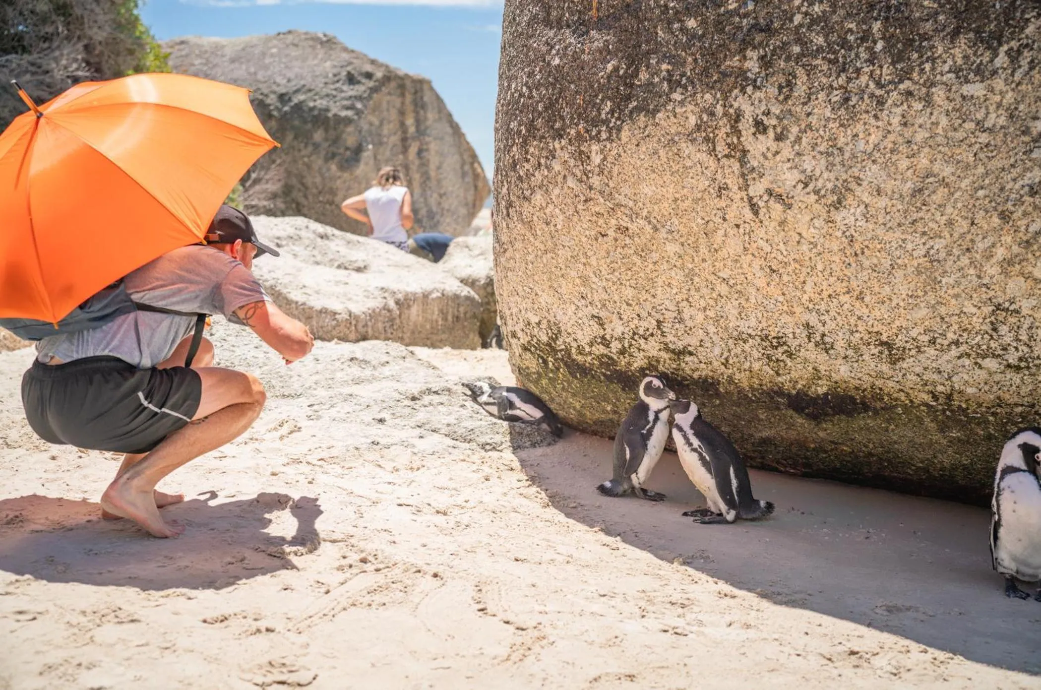 Activities in Never at Home Green Point