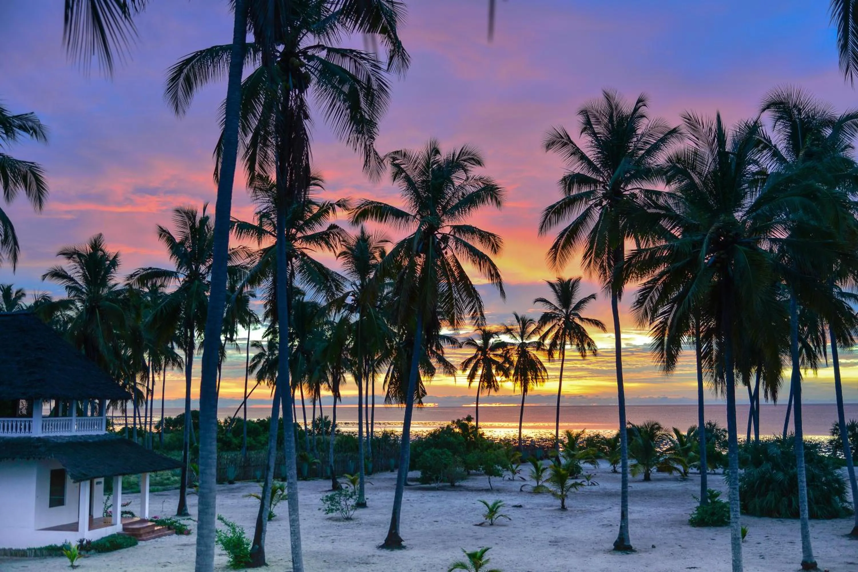 View (from property/room) in Kijongo Bay Beach Resort