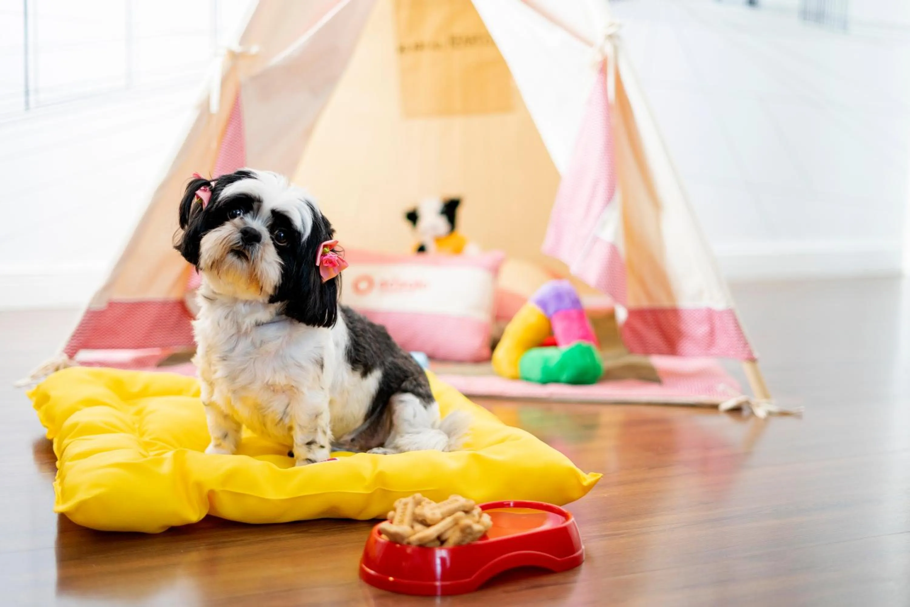 Pets in Mercure Sao Paulo Berrini
