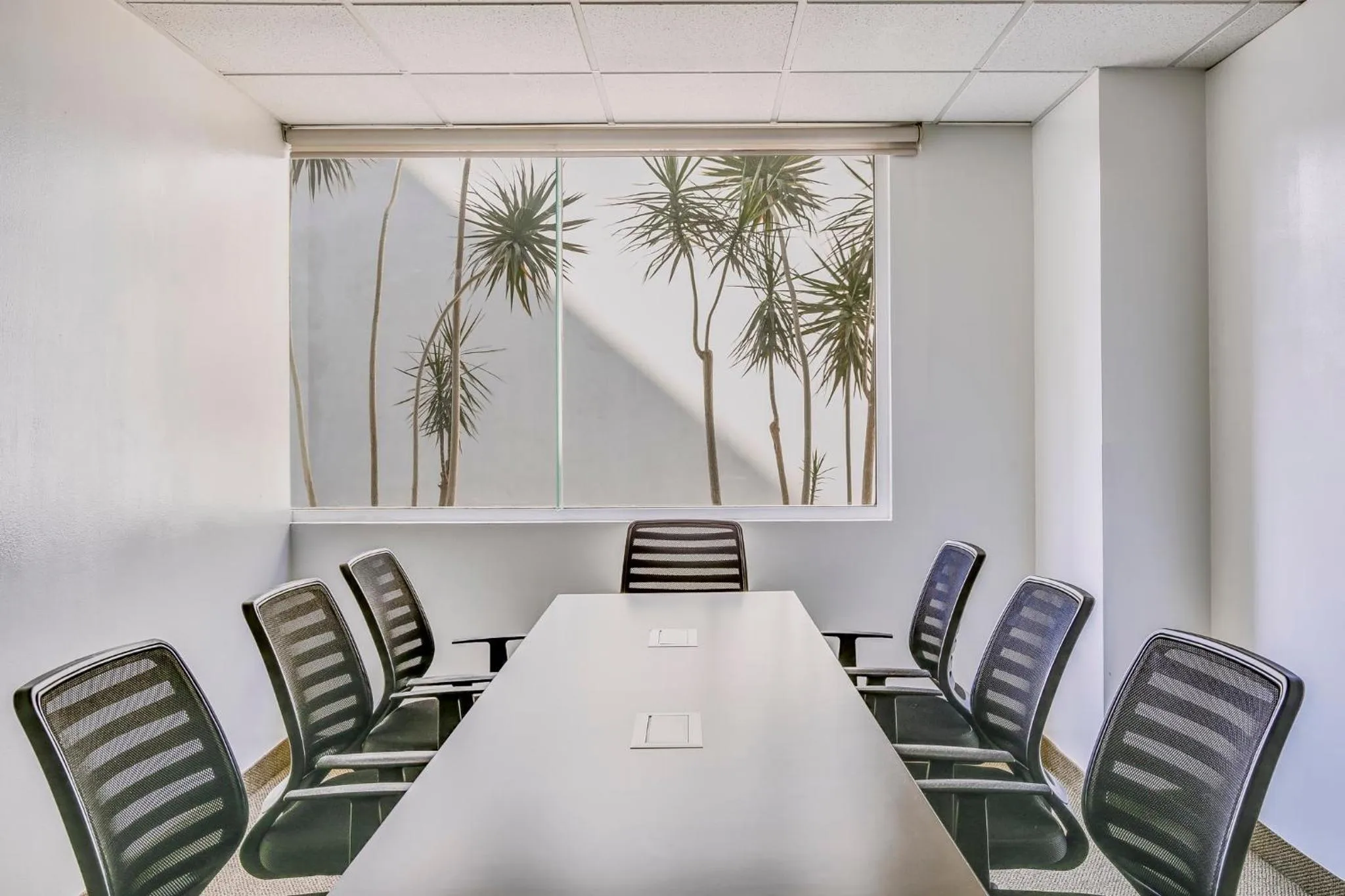 Meeting/conference room in One Leon Poliforum