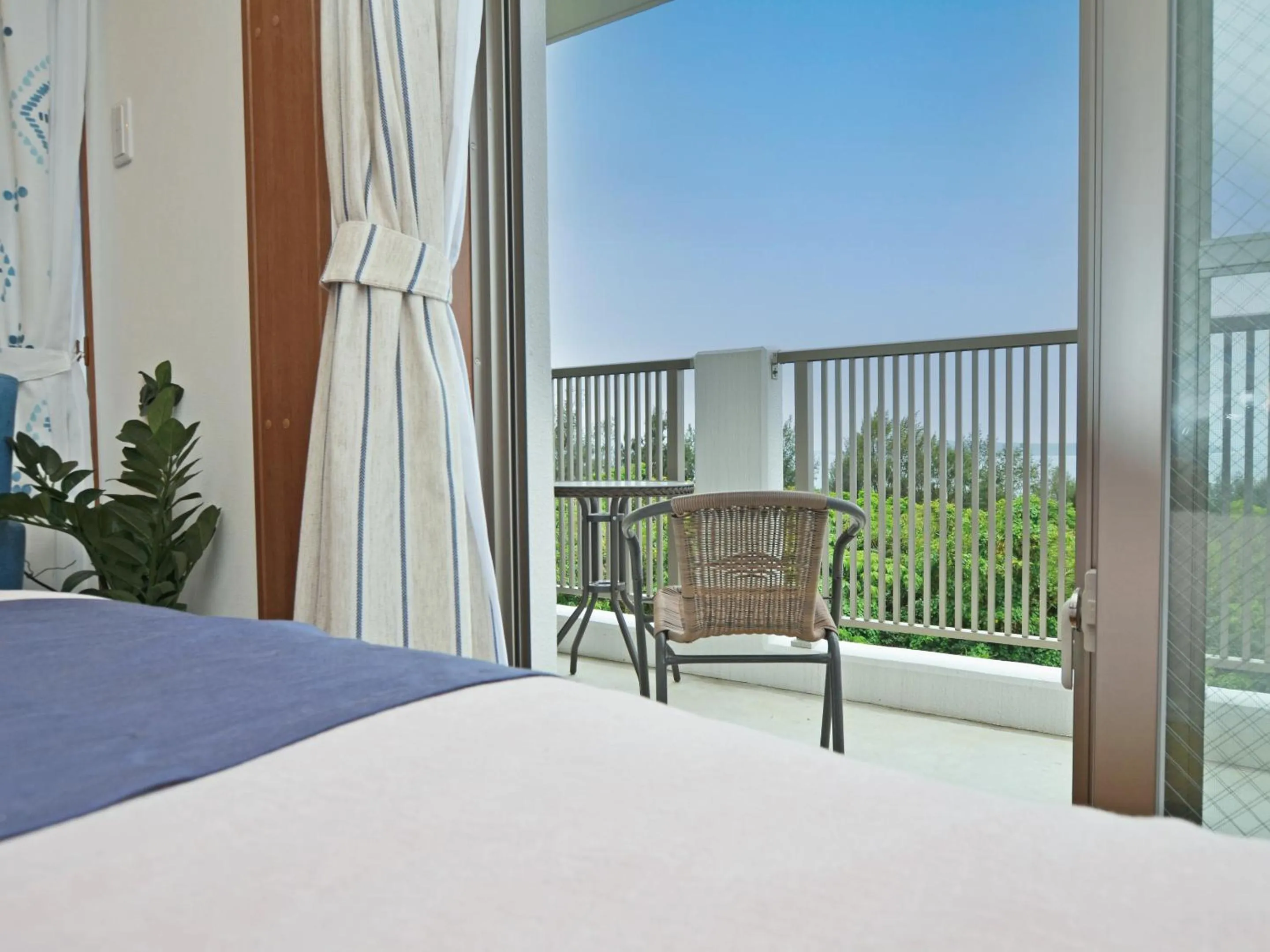 Natural landscape, Bed in Churaumi Terrace