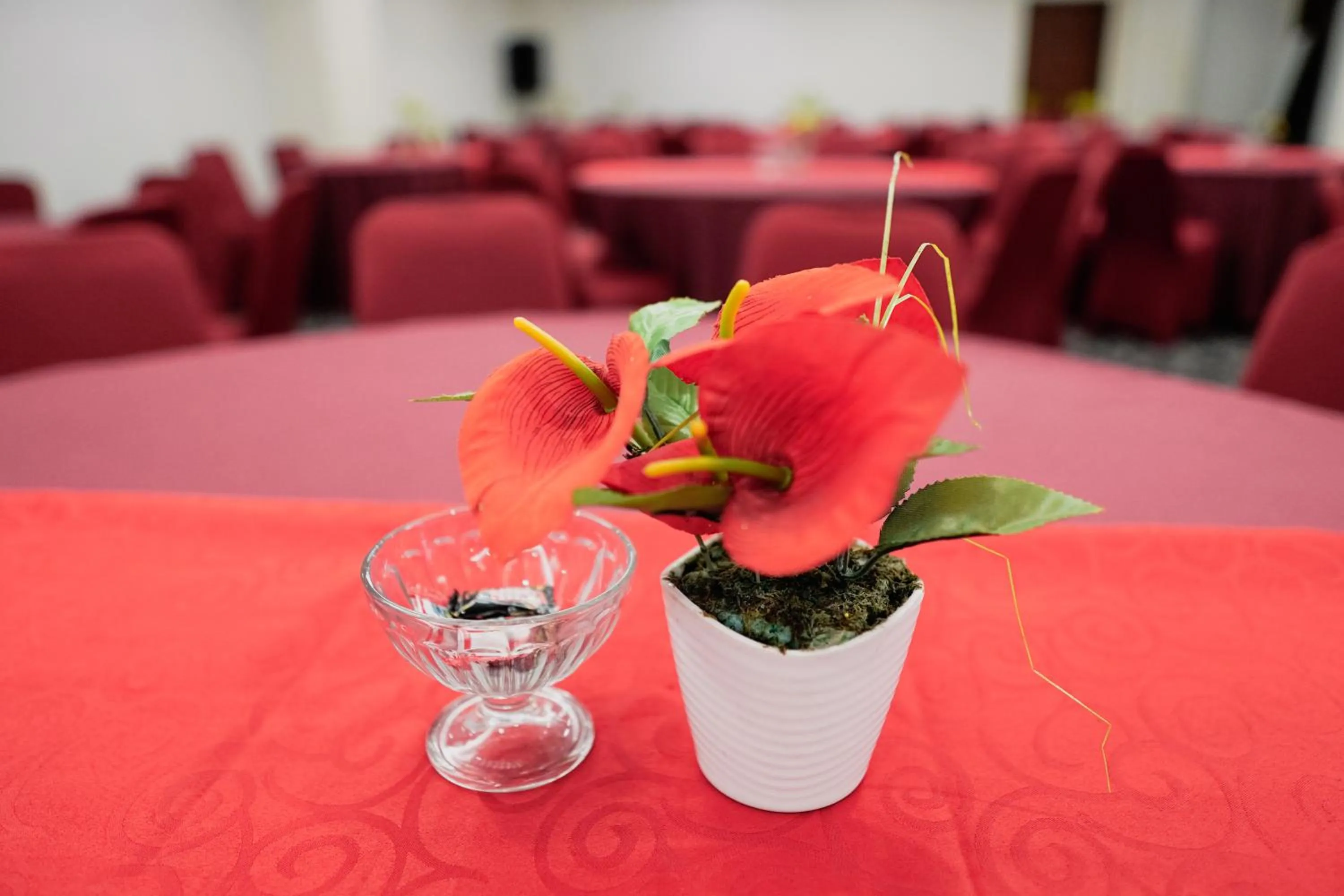 Brothers Inn Solo Baru