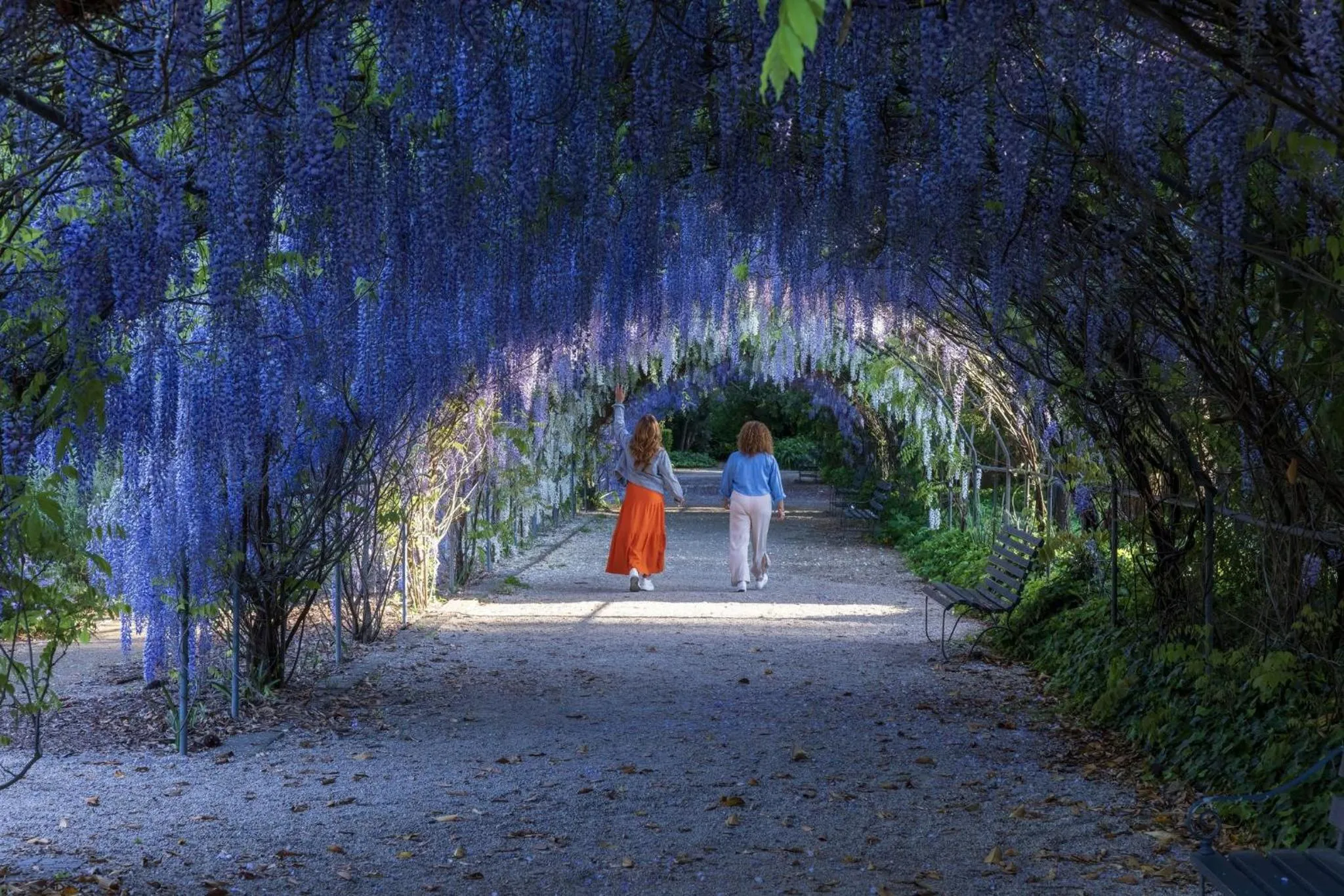 Area and facilities in Mayfair Hotel Adelaide by IHG