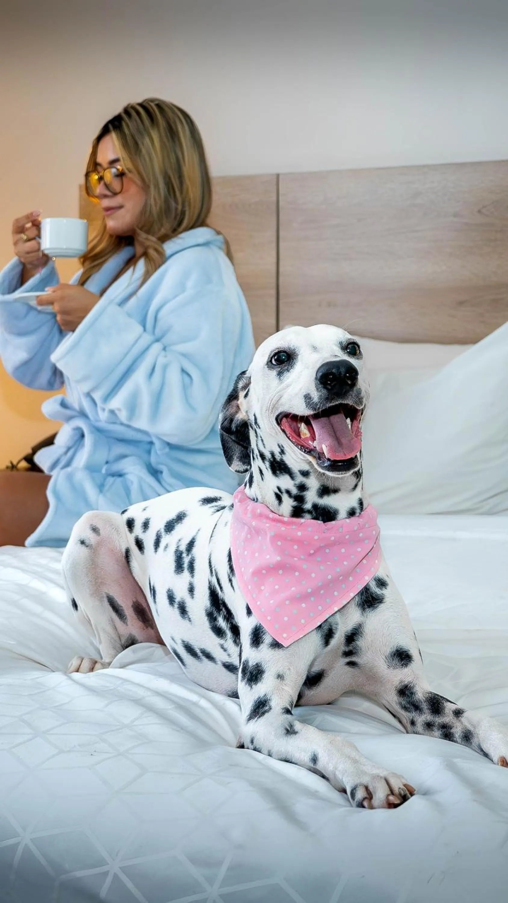 Pets in Holiday Inn Express Yopal by IHG