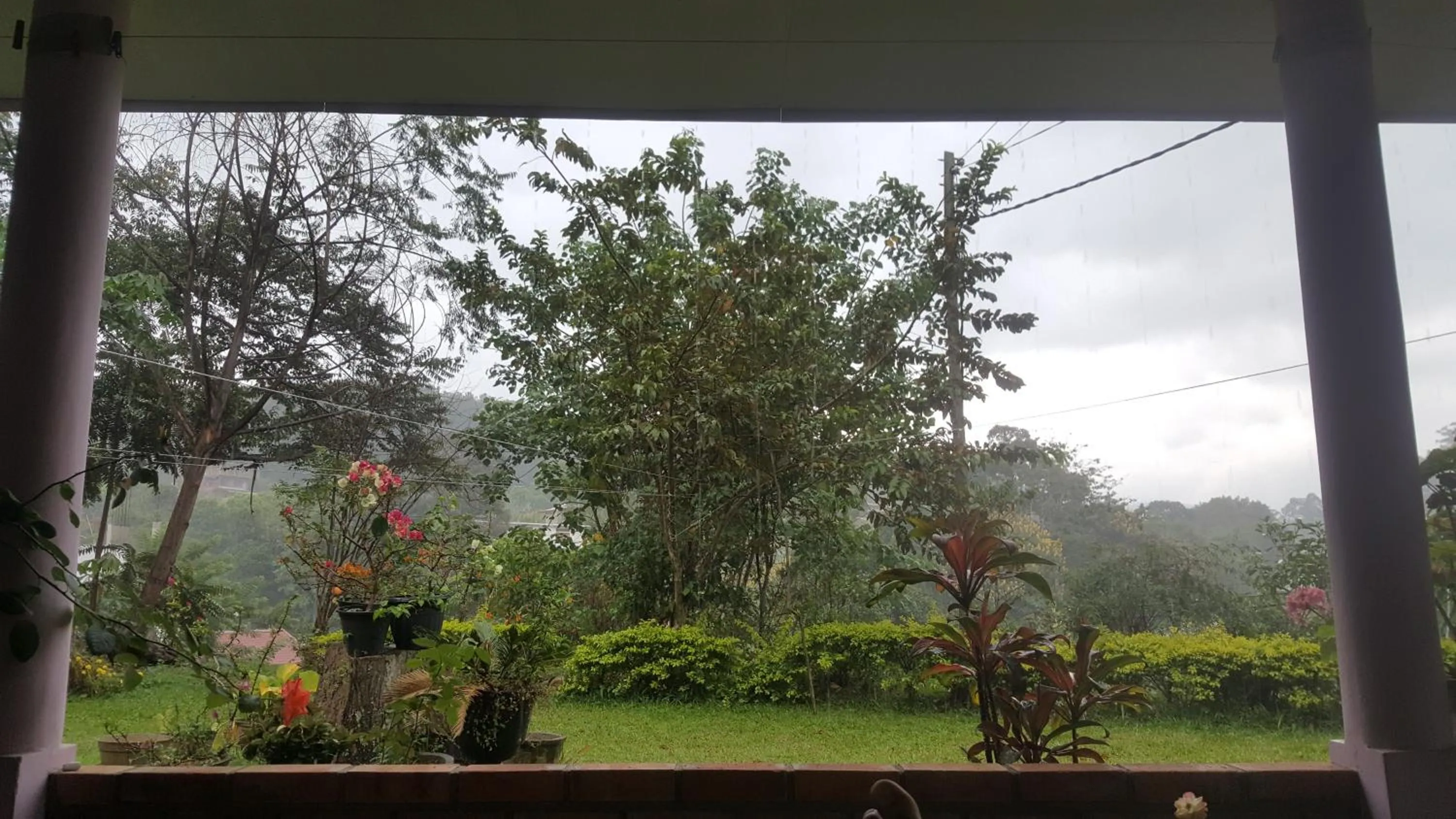 Garden in 59B Rest Inn Ella