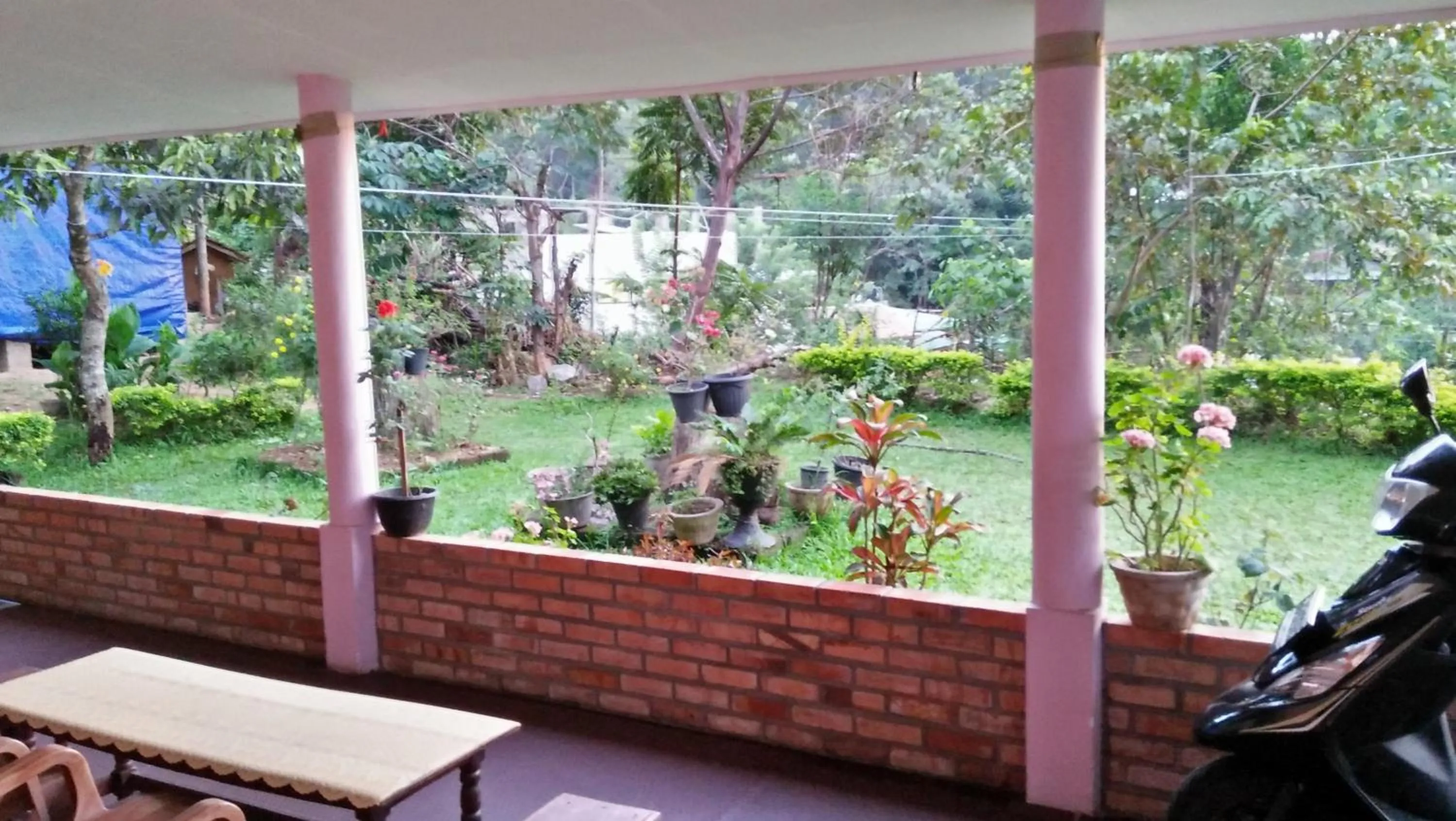 Garden in 59B Rest Inn Ella