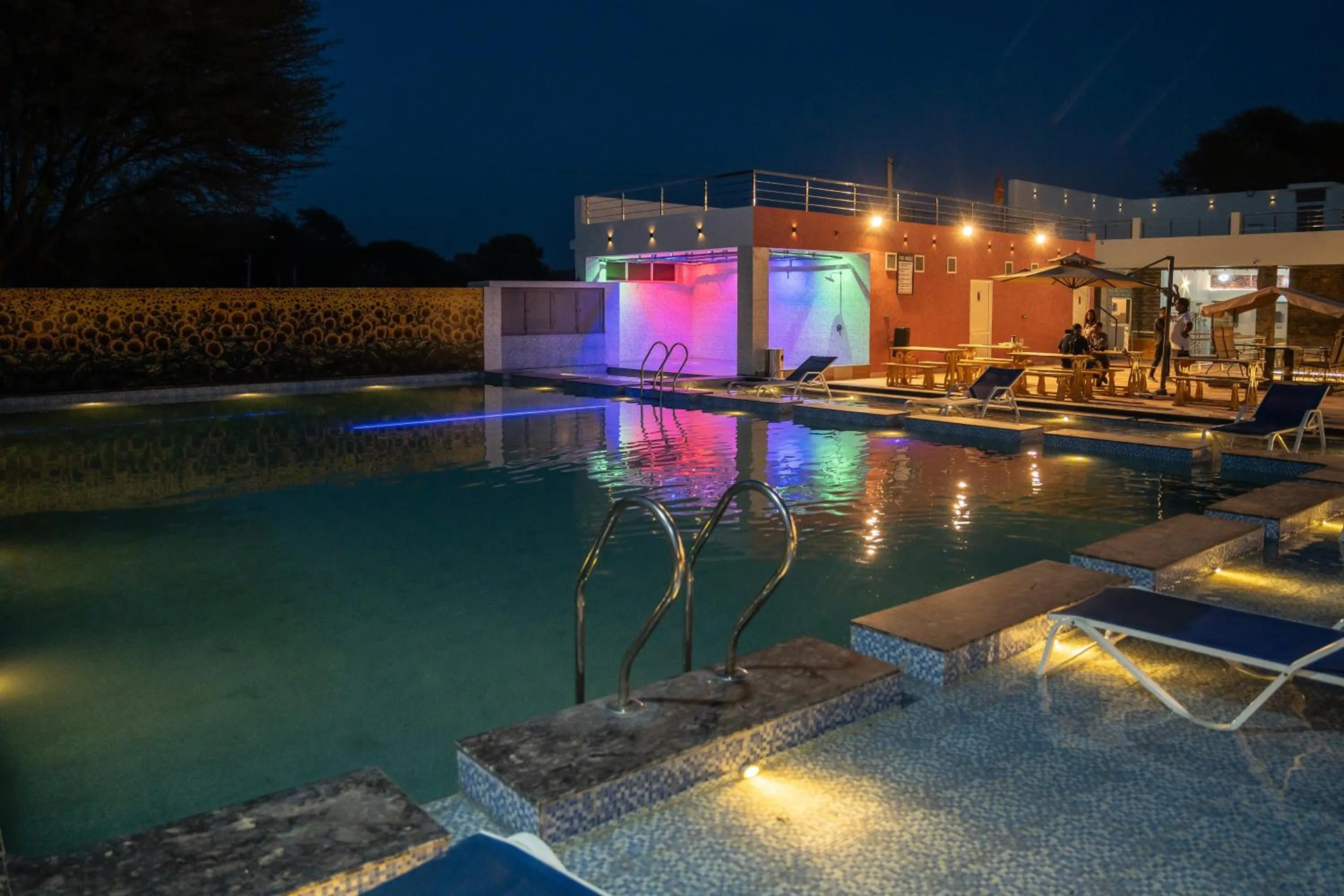 Night in Sunflower Saga