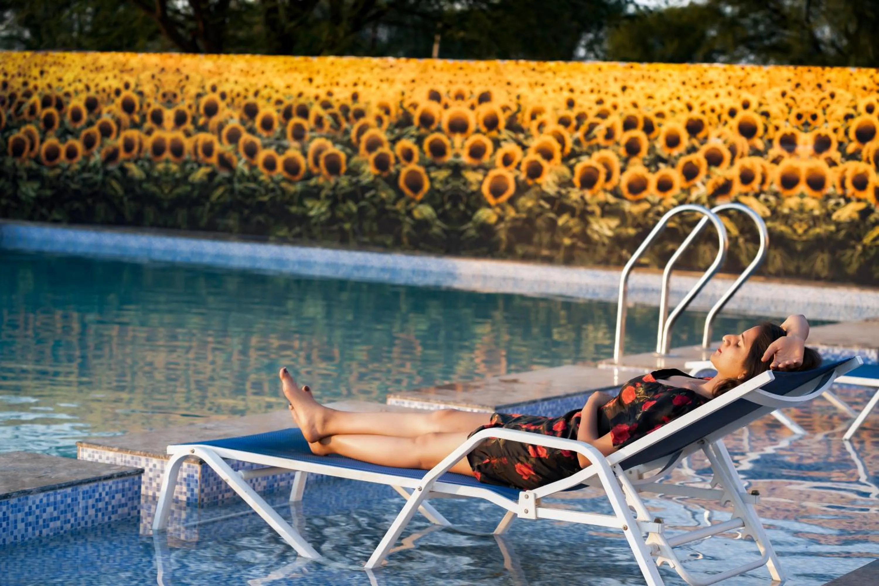 Pool view in Sunflower Saga